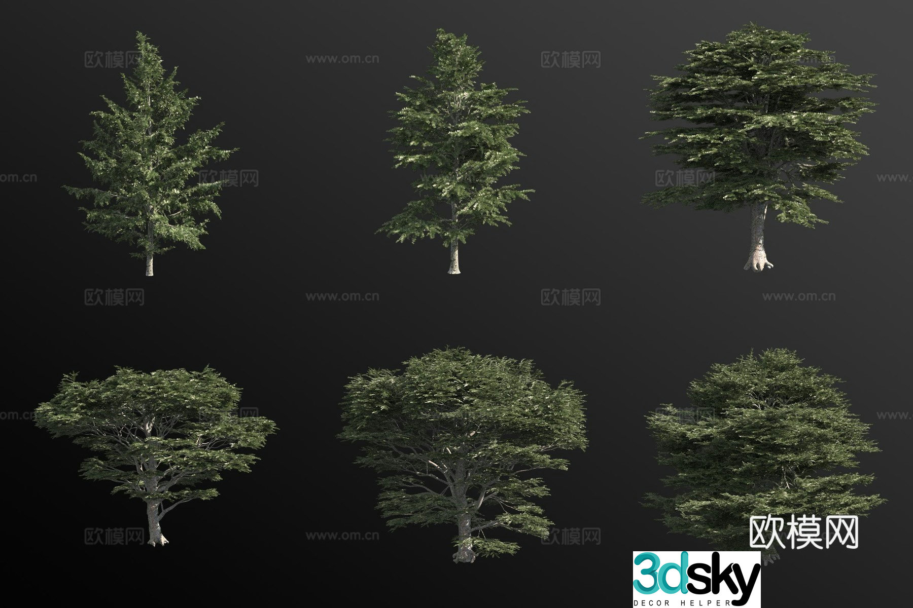 Cedar of Lebanon landscape tree 3d model