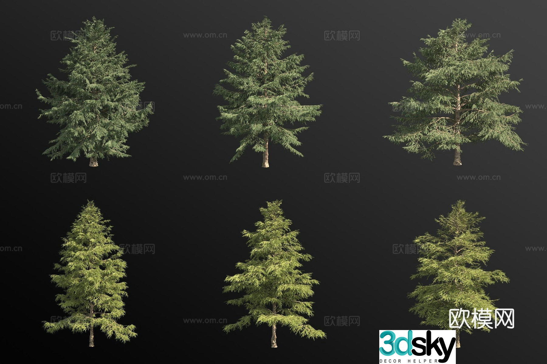 Golden leaf cedar landscape tree 3d model