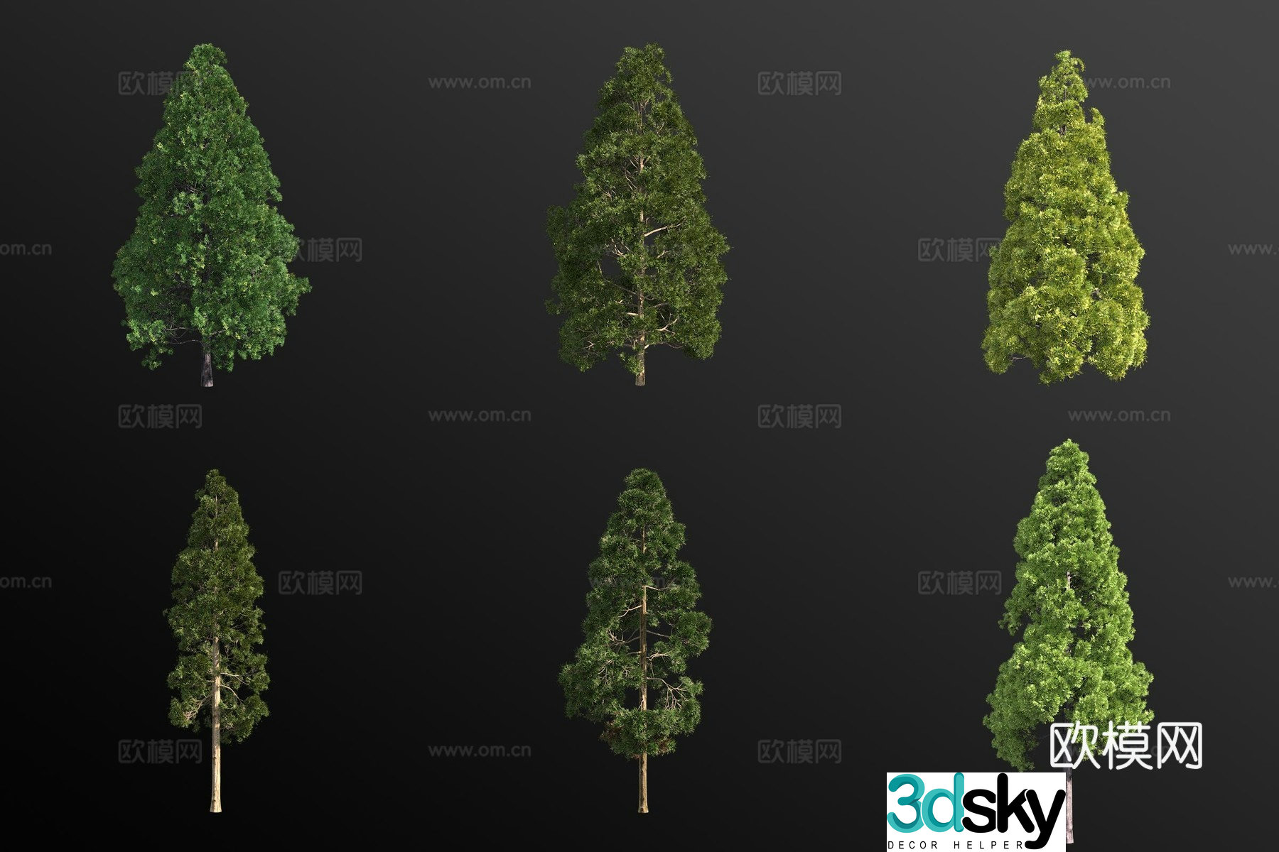 Ball Cryptomeria Landscape Tree 3D Model