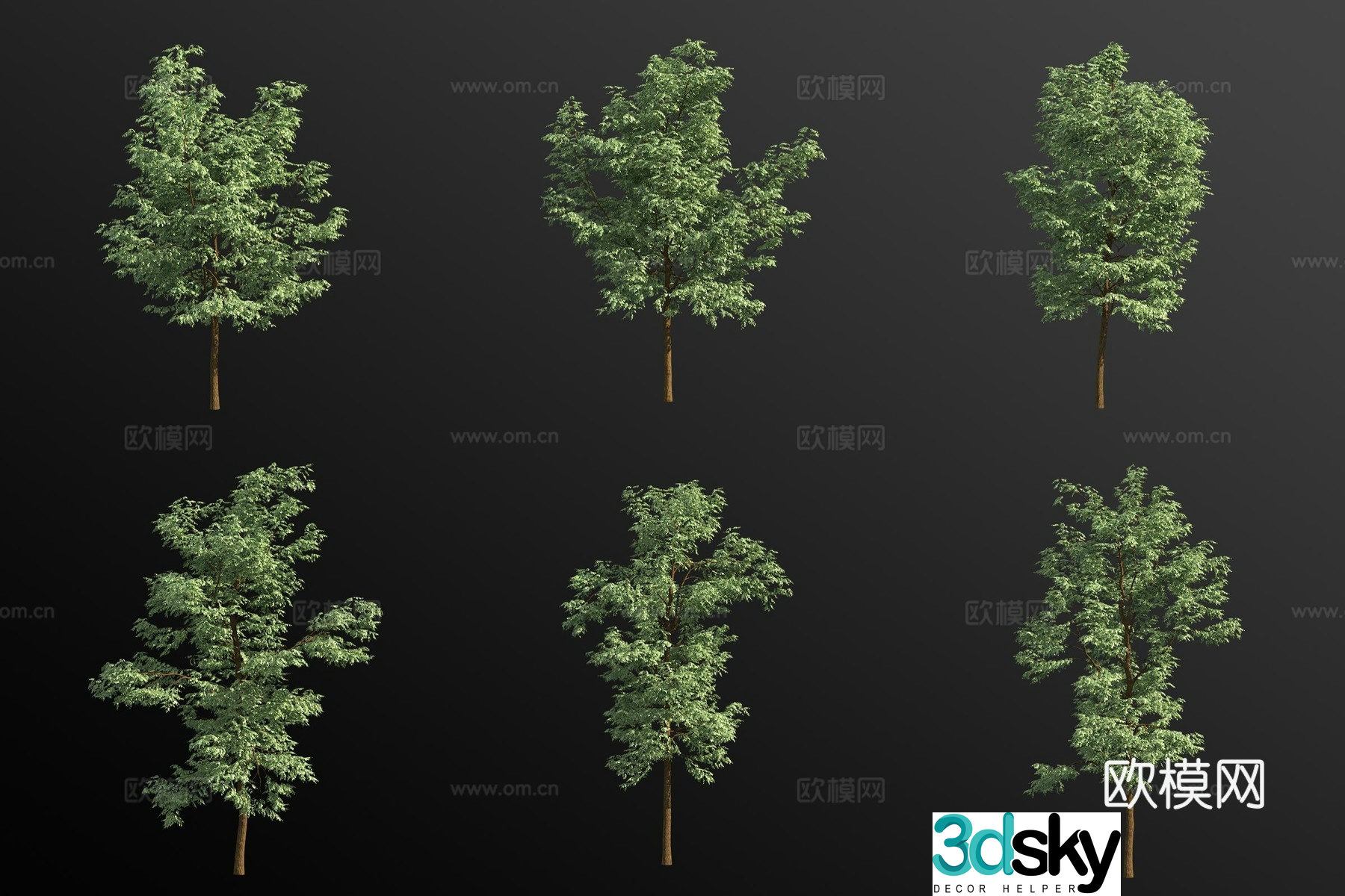Black locust tree landscape tree 3d model