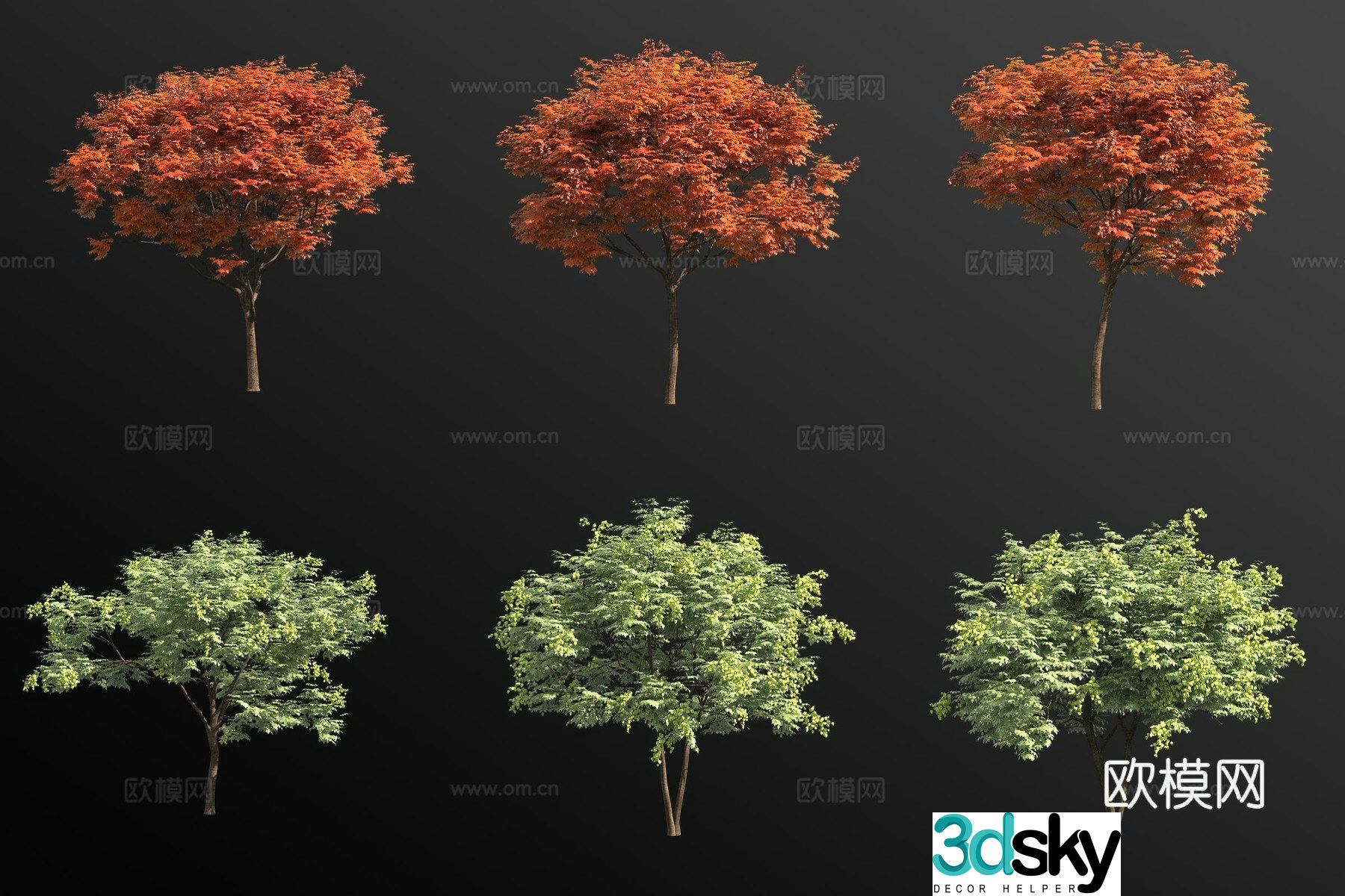 Luan tree landscape tree 3d model