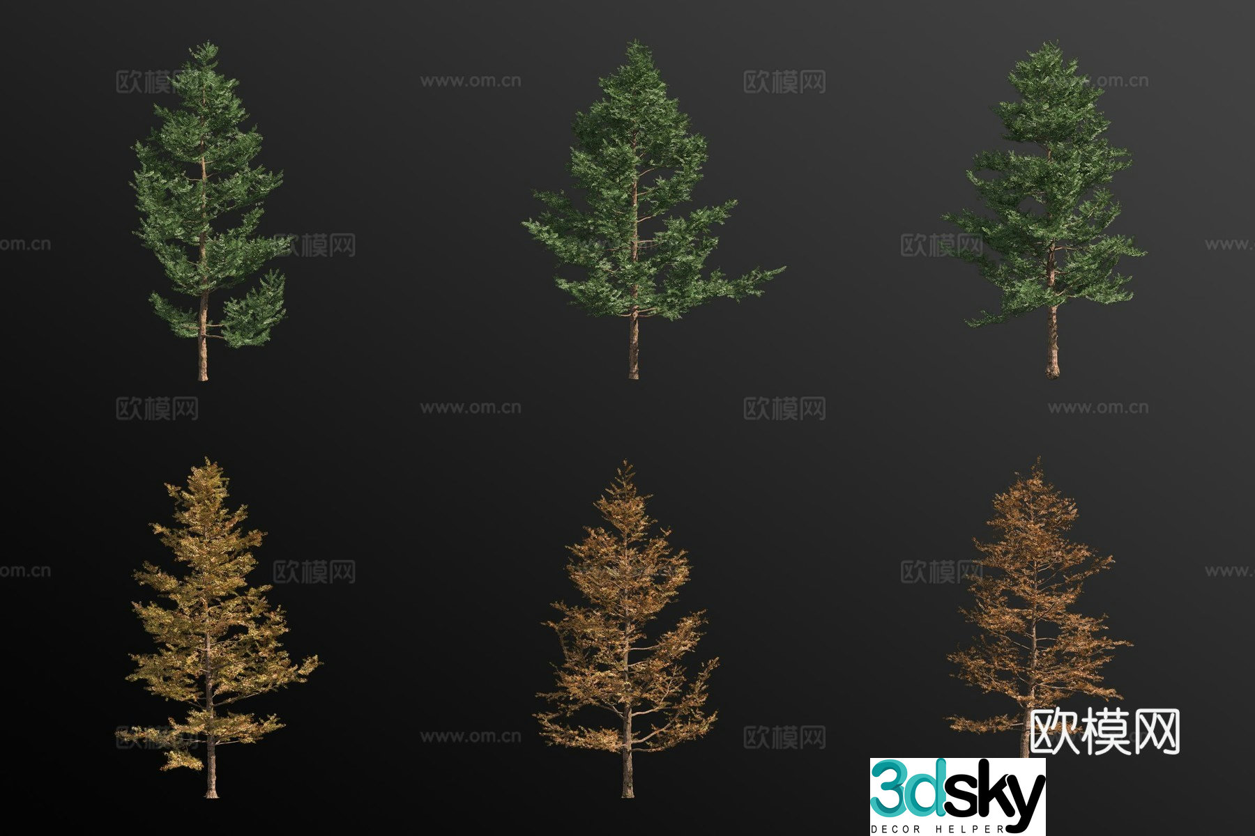 japanese larch pine tree landscape tree 3d model