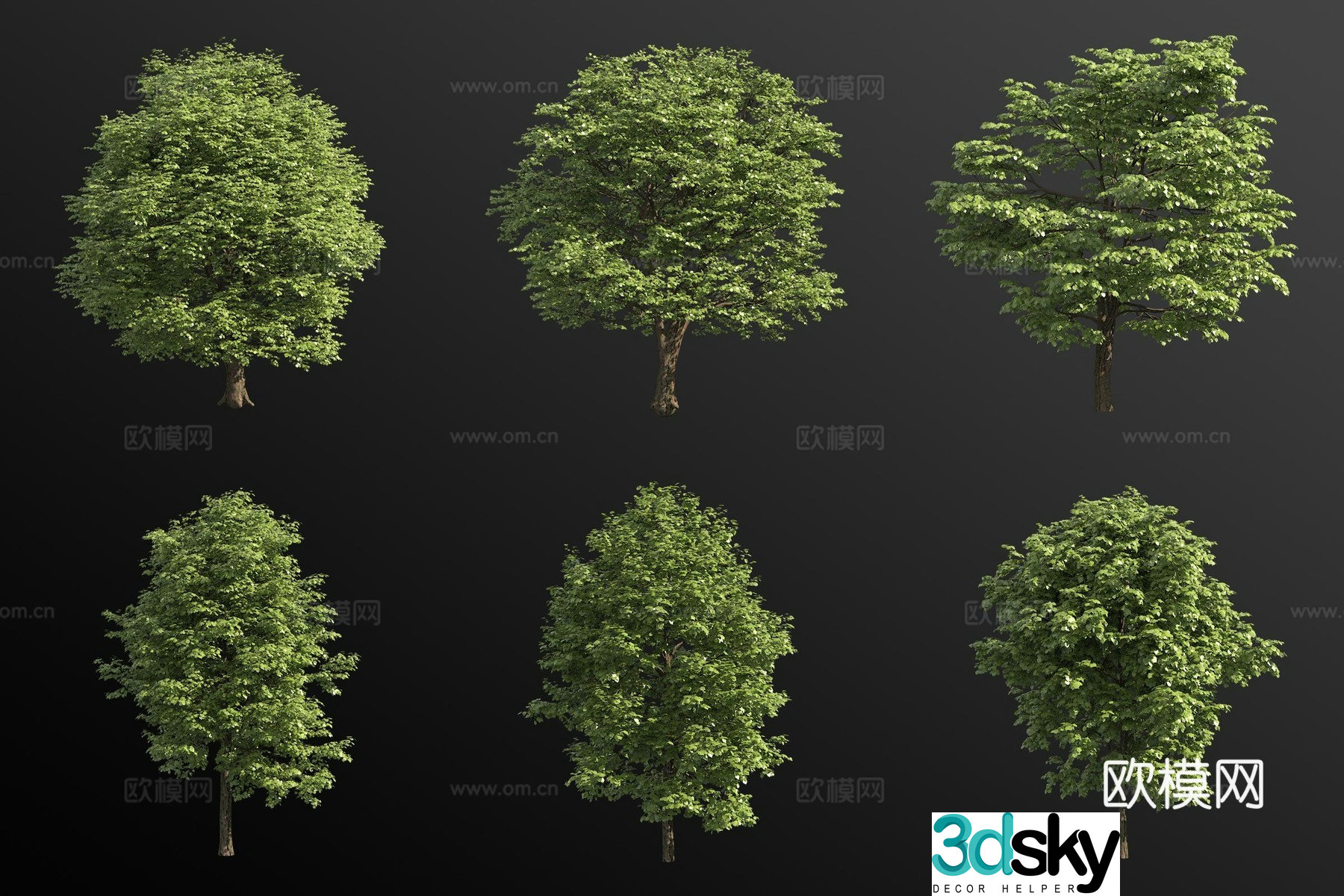 European lime tree landscape tree 3d model