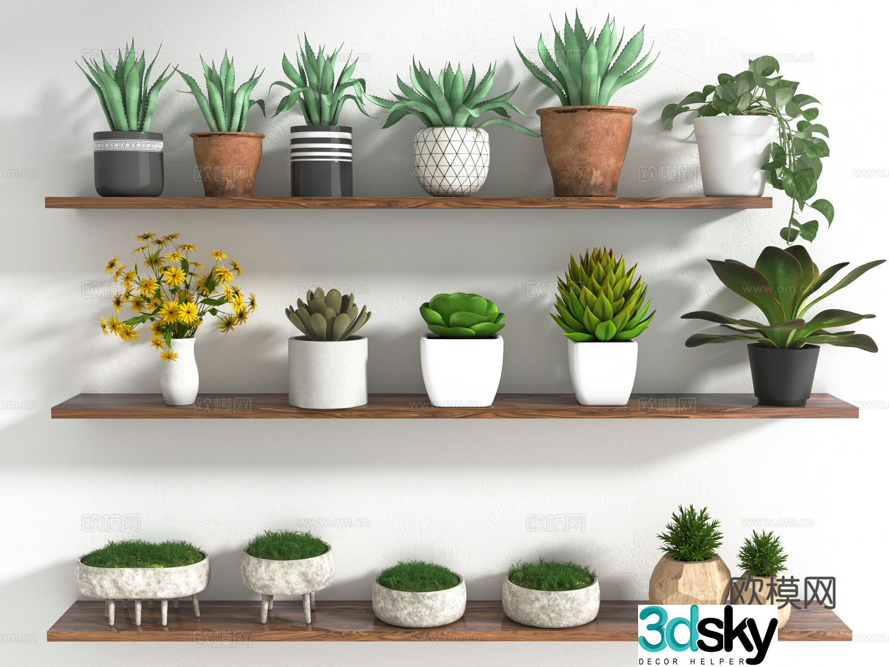 Modern green plants potted plants aloe vera cat grass indoor potted plants 3D model