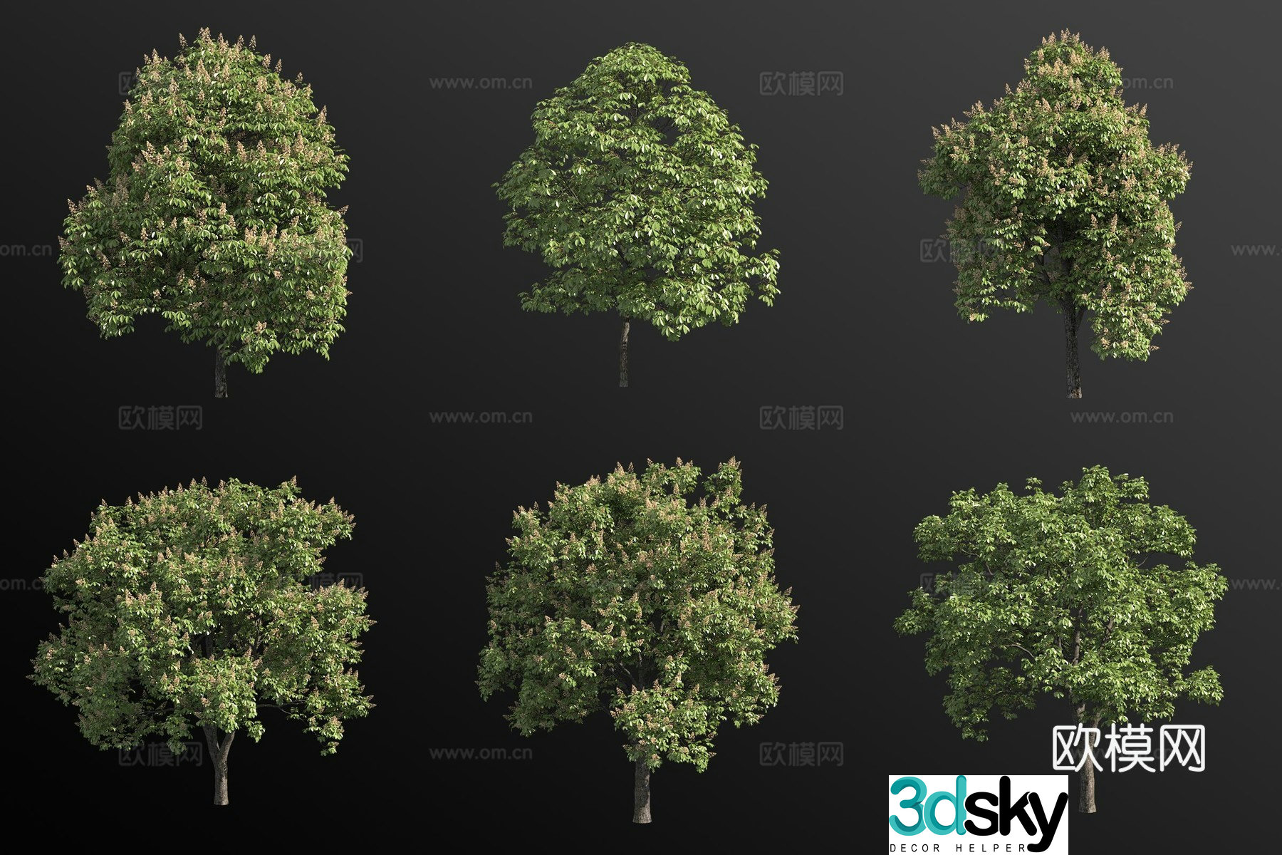 Horse chestnut landscape tree 3d model