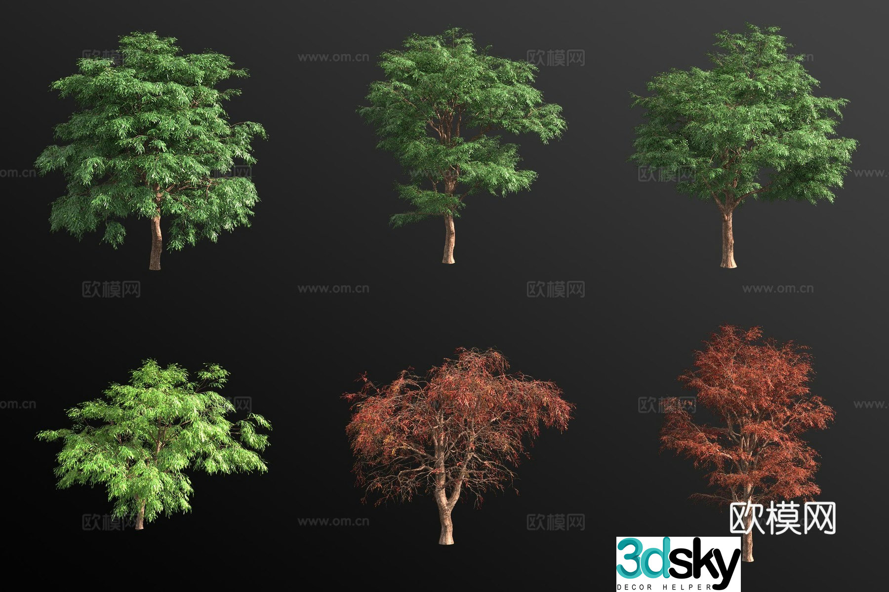 Mexican cypress landscape tree 3d model