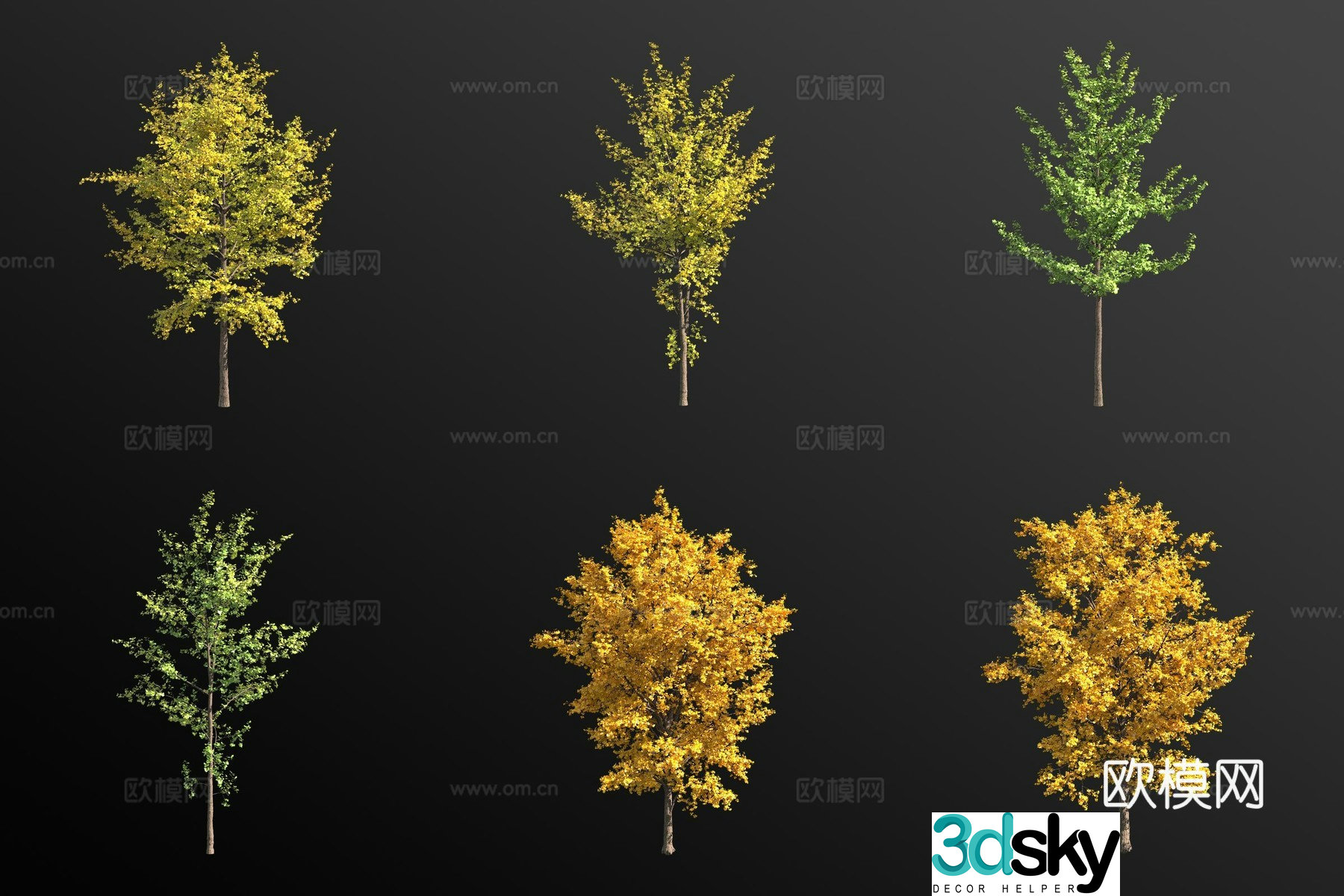 Ginkgo tree landscape tree 3d model