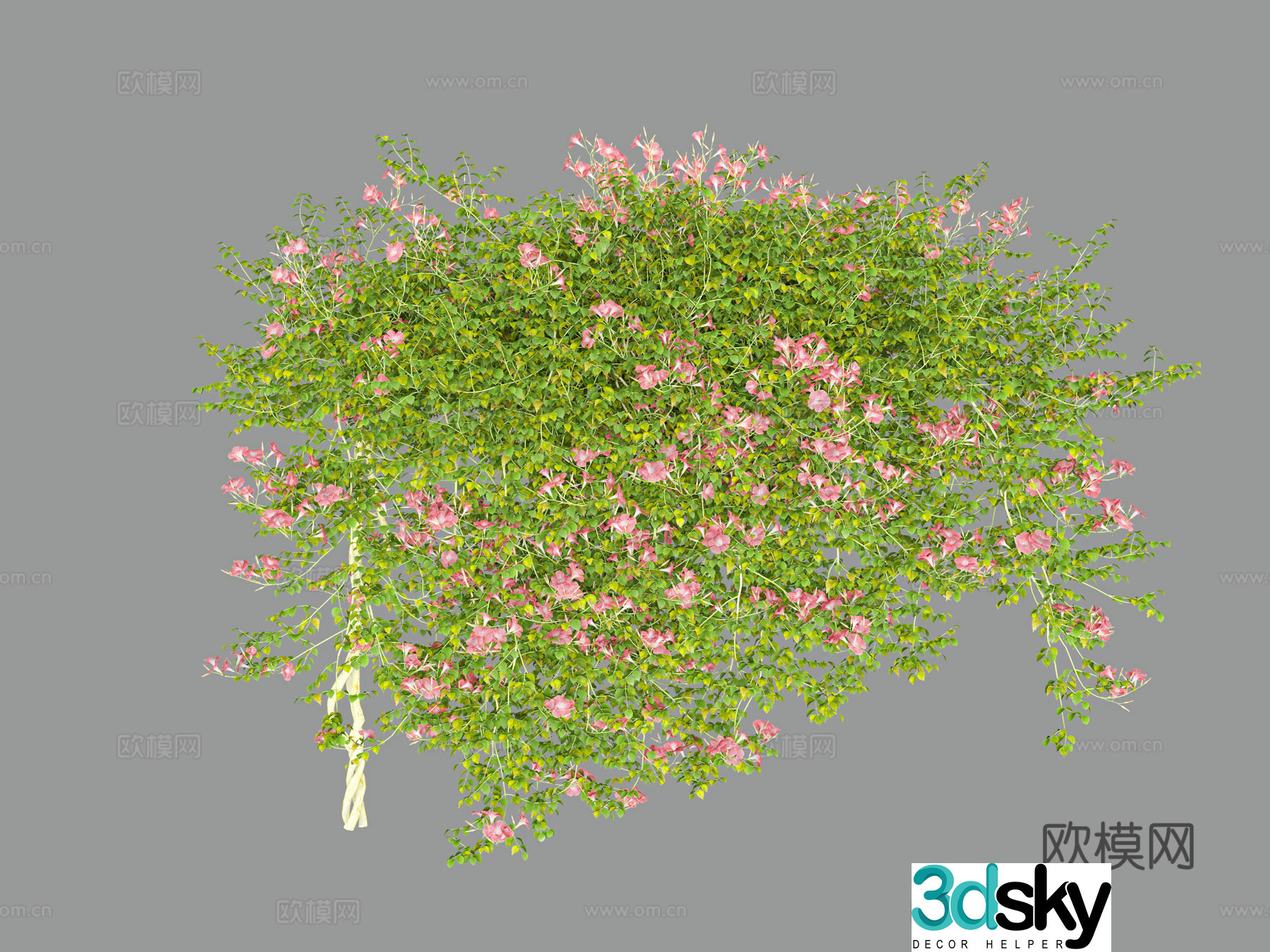 Vine vine flower green plant 3d model