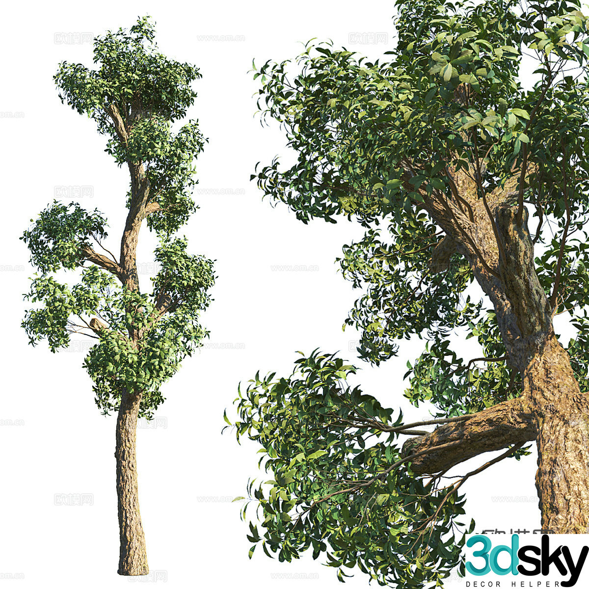 Big tree landscape tree 3d model