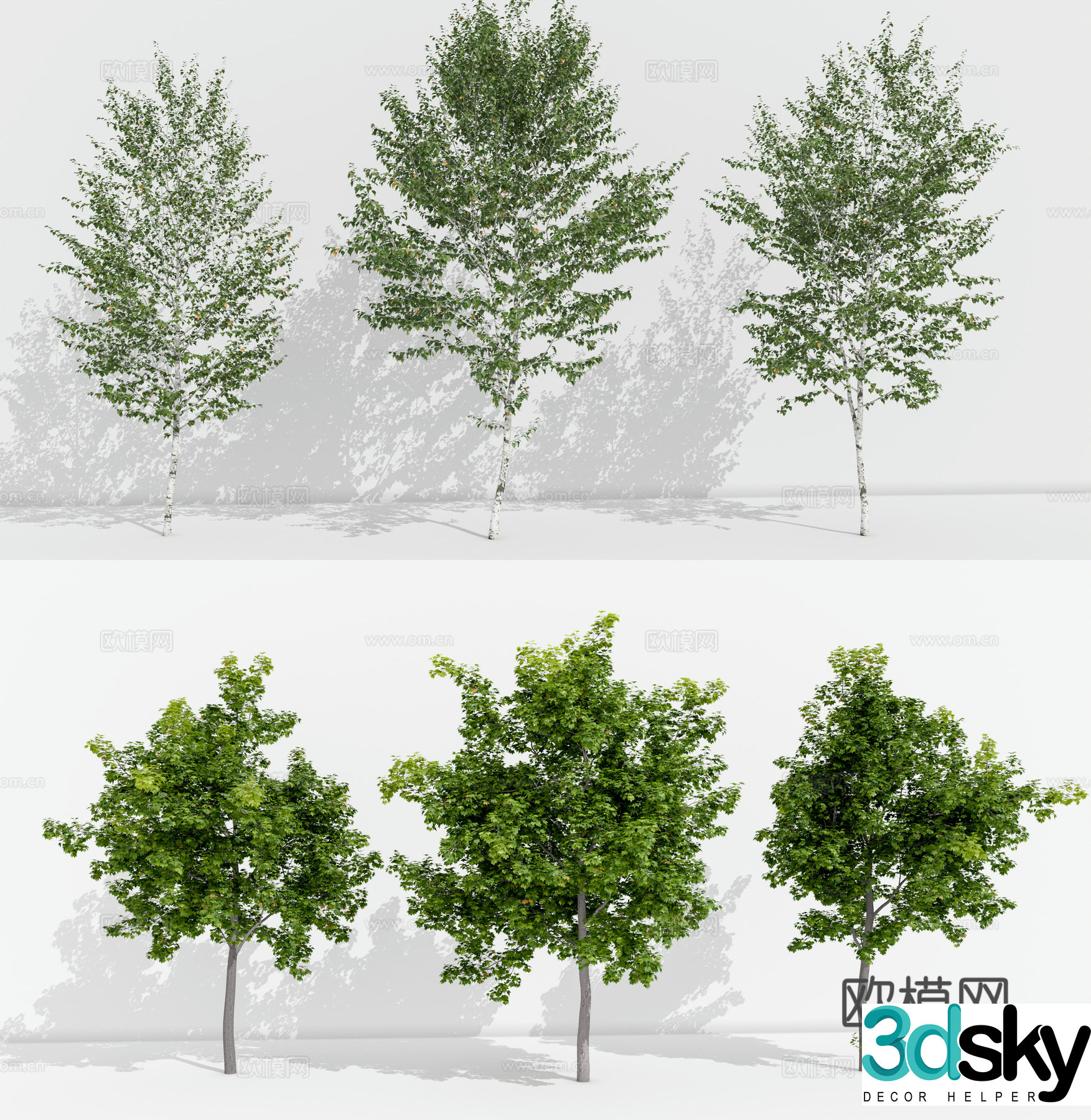 ginkgo tree arbor landscape tree 3d model
