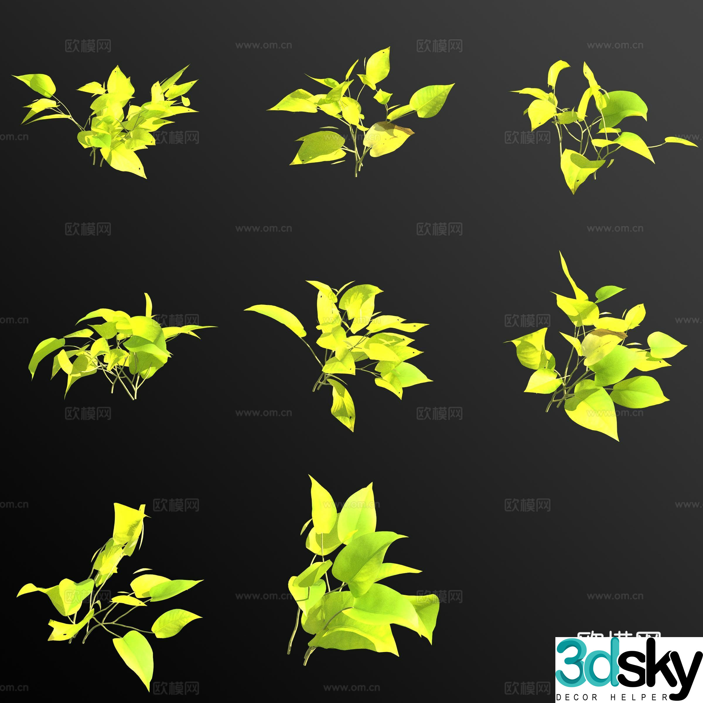 Pothos neon green plants and flowers 3d model