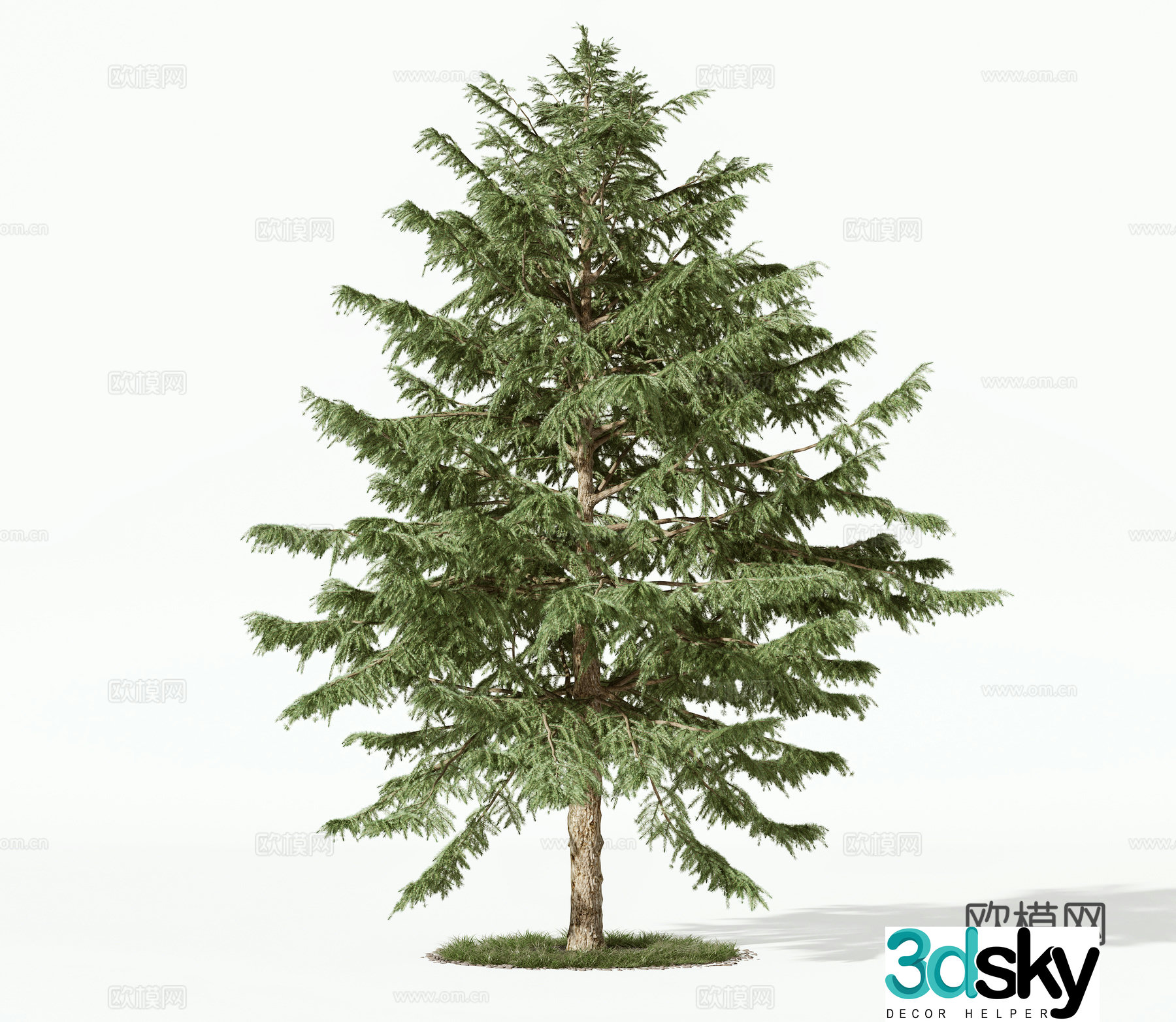 modern trees 3d model