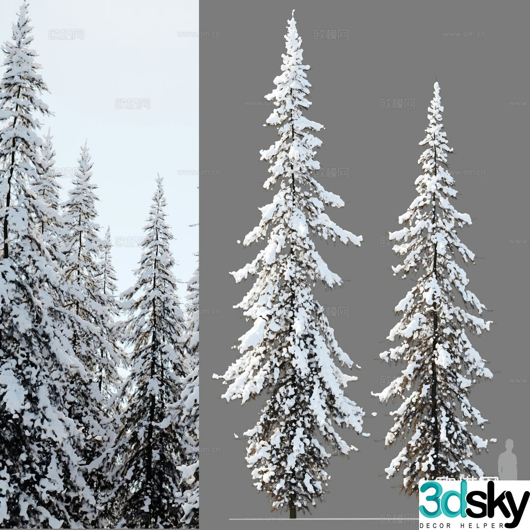 spruce landscape tree 3d model