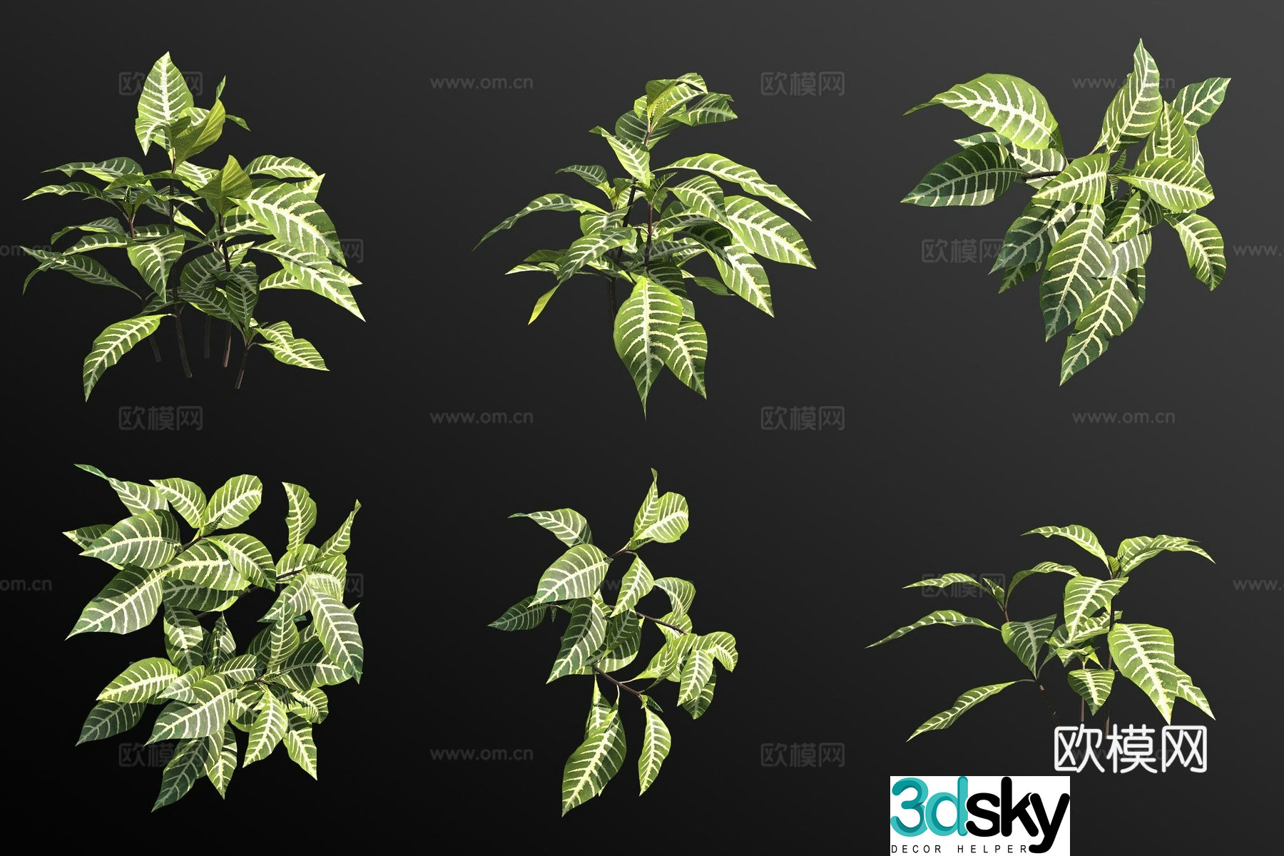 3D model of silver veined bed green plants and flowers