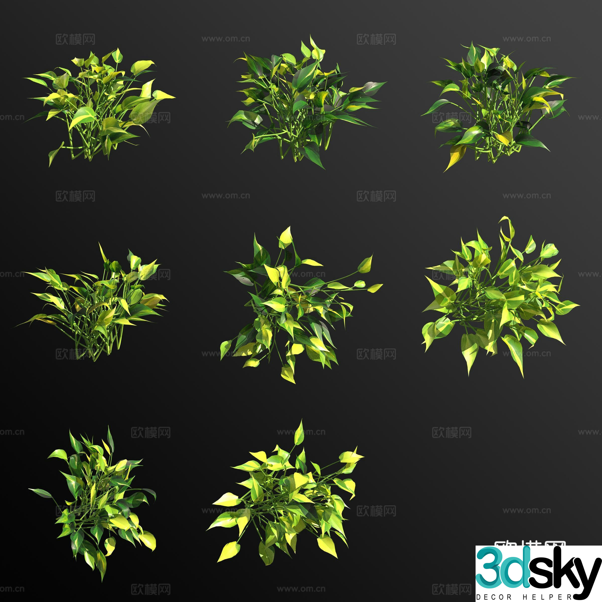 Heart-leaf Philodendron 3D model of green plants and flowers