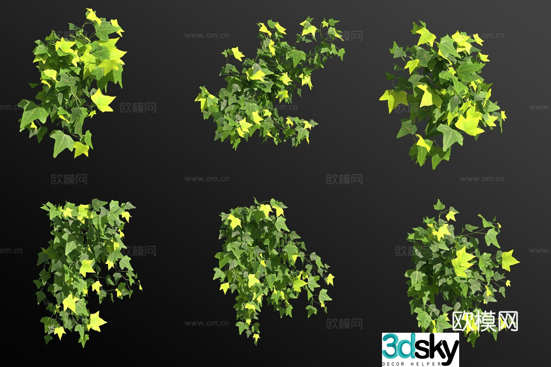 Mosaic ivy vines shrubs and flowers 3d model