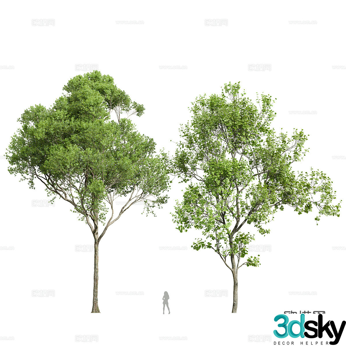 Landscape tree 3d model