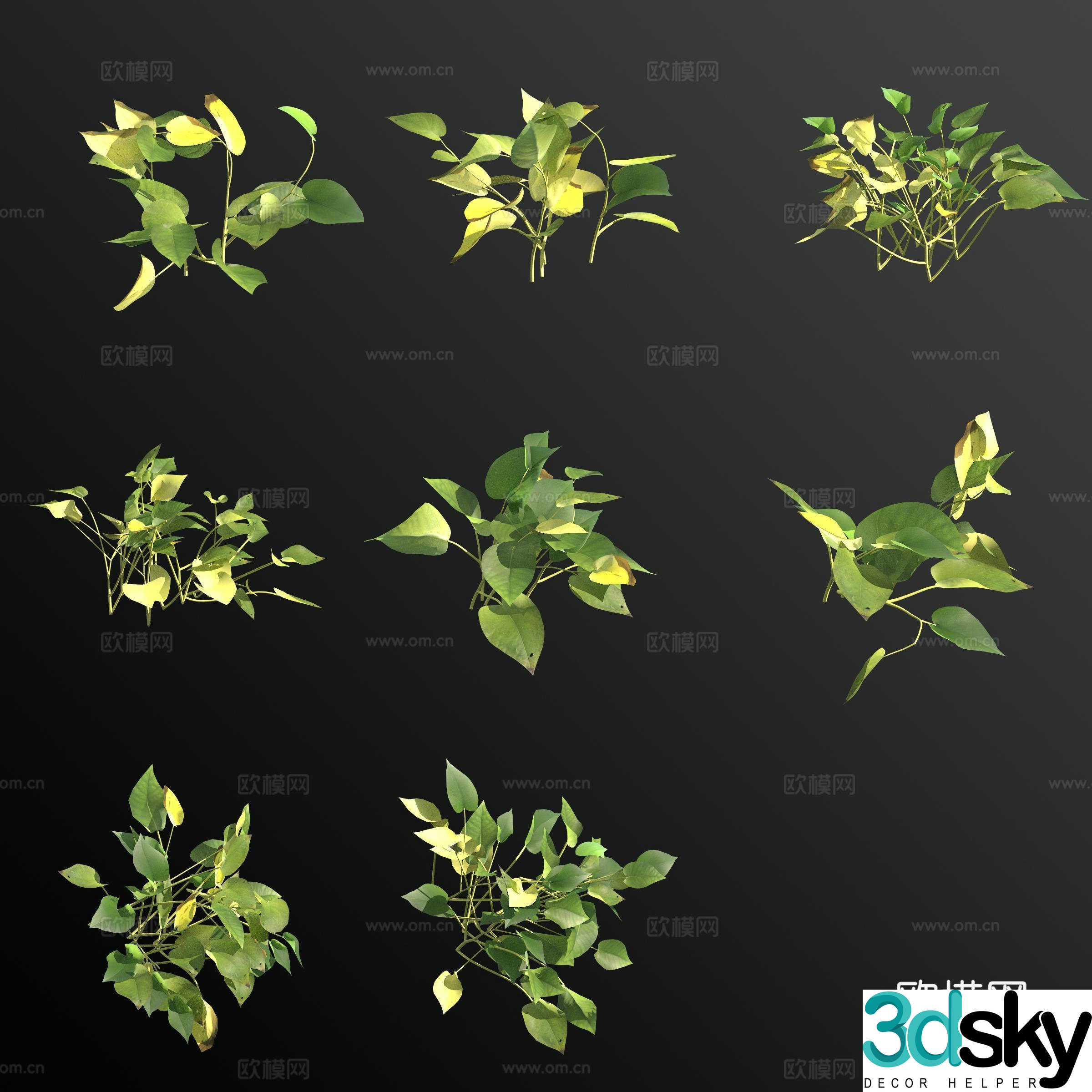 Green leaves and green radish green plants and flowers 3D model