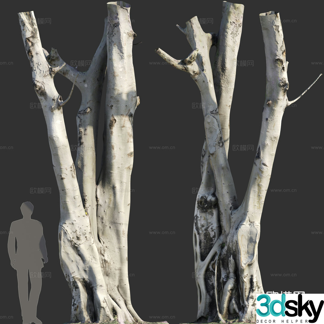 dead tree trunk 3d model