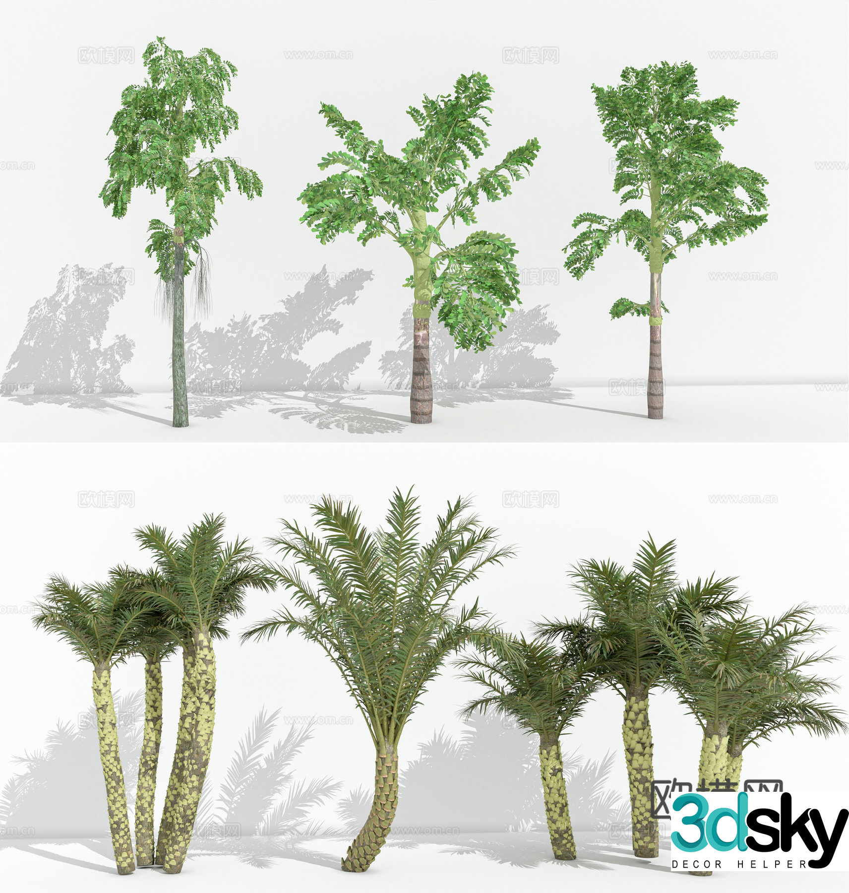 landscape tree palm tree coconut tree palm tree 3d model