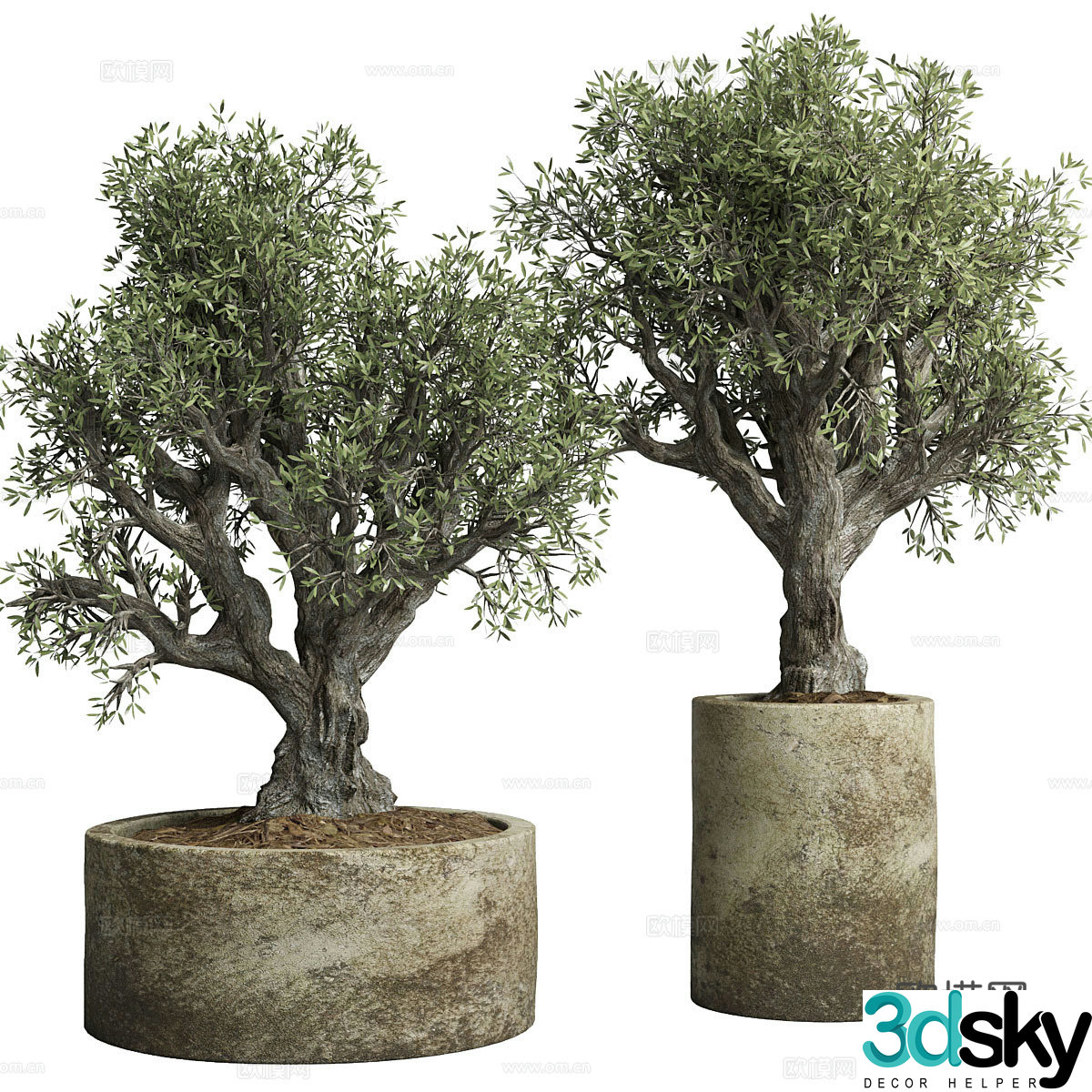 tree big tree potted plant green tree old tree old tree flowerpot 3d model