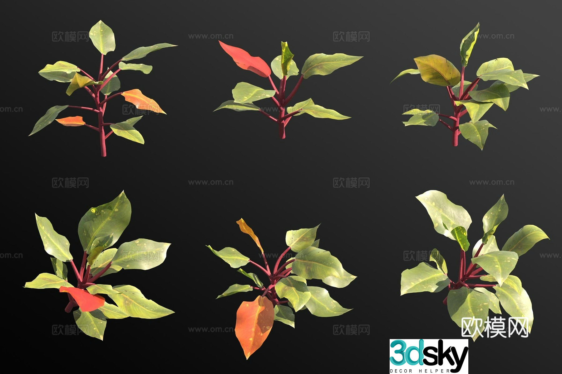 Ruby philodendron green plant flowers and plants 3d model