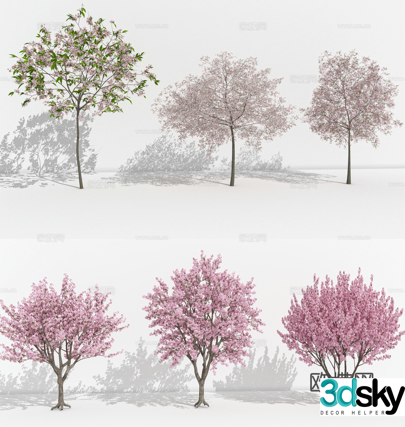 Cherry Blossom Cherry Tree Peach Tree Pink Flower Tree Landscape Tree 3D Model