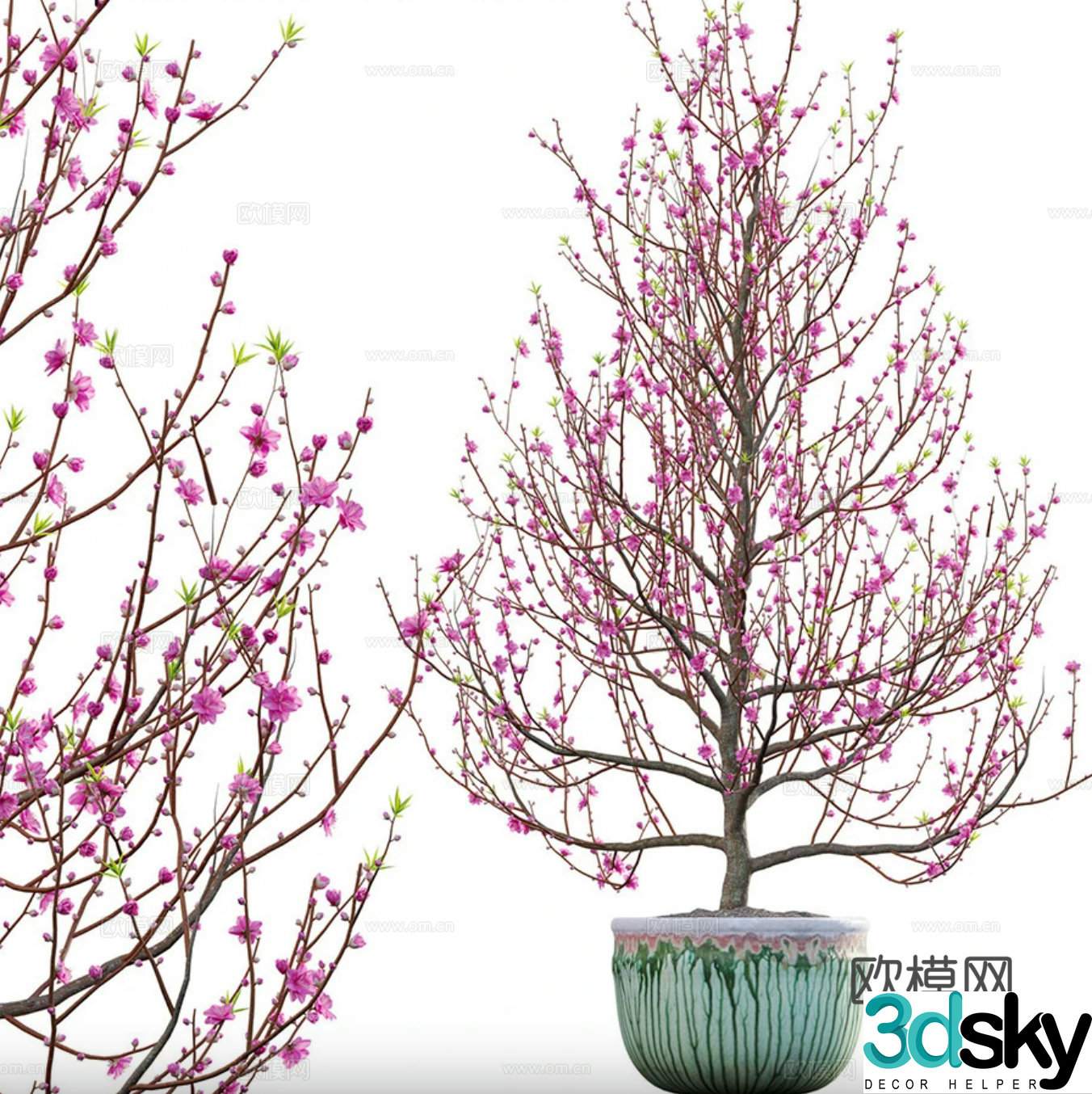 Peach tree potted plant 3d model