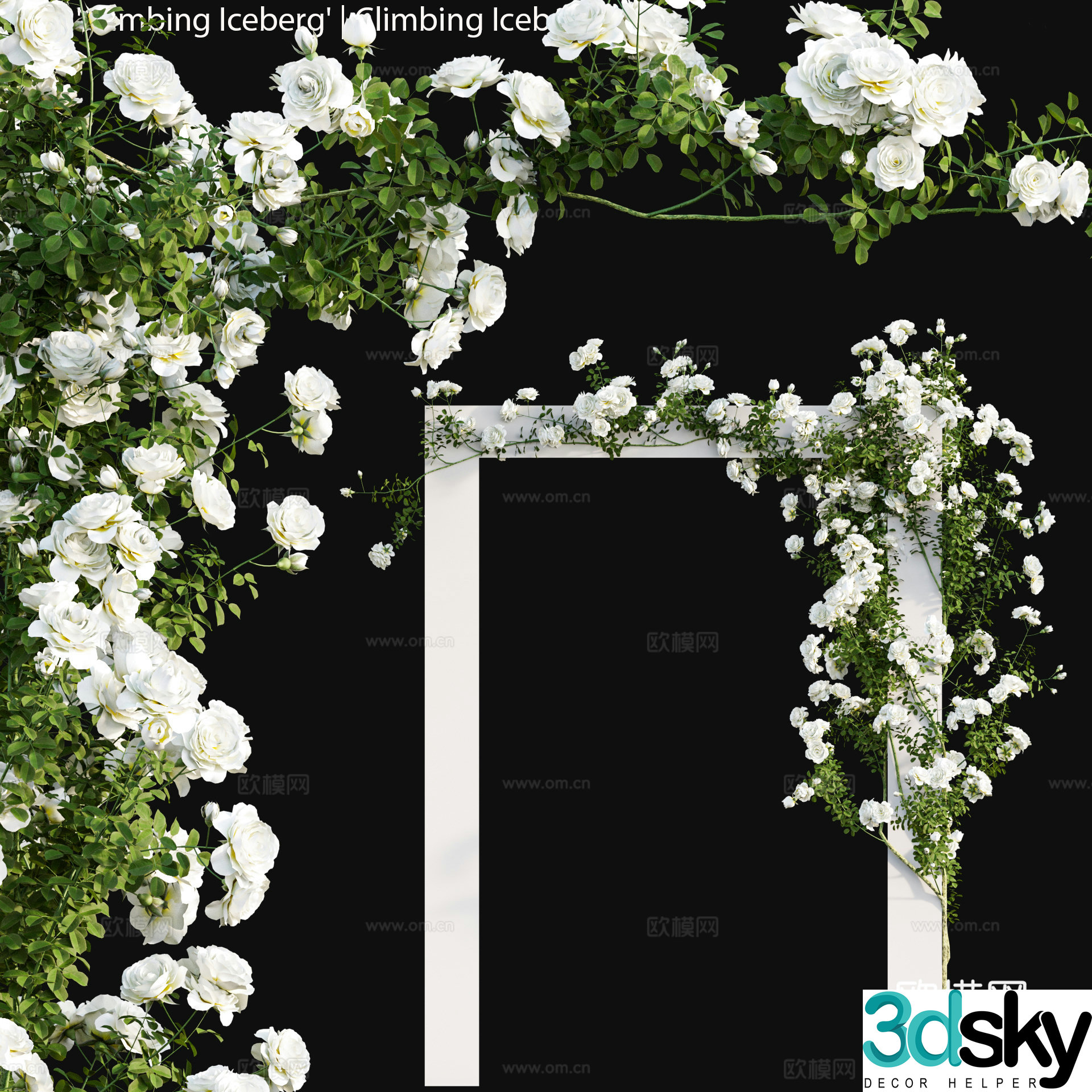 Modern vine gallery flower gallery 3D model
