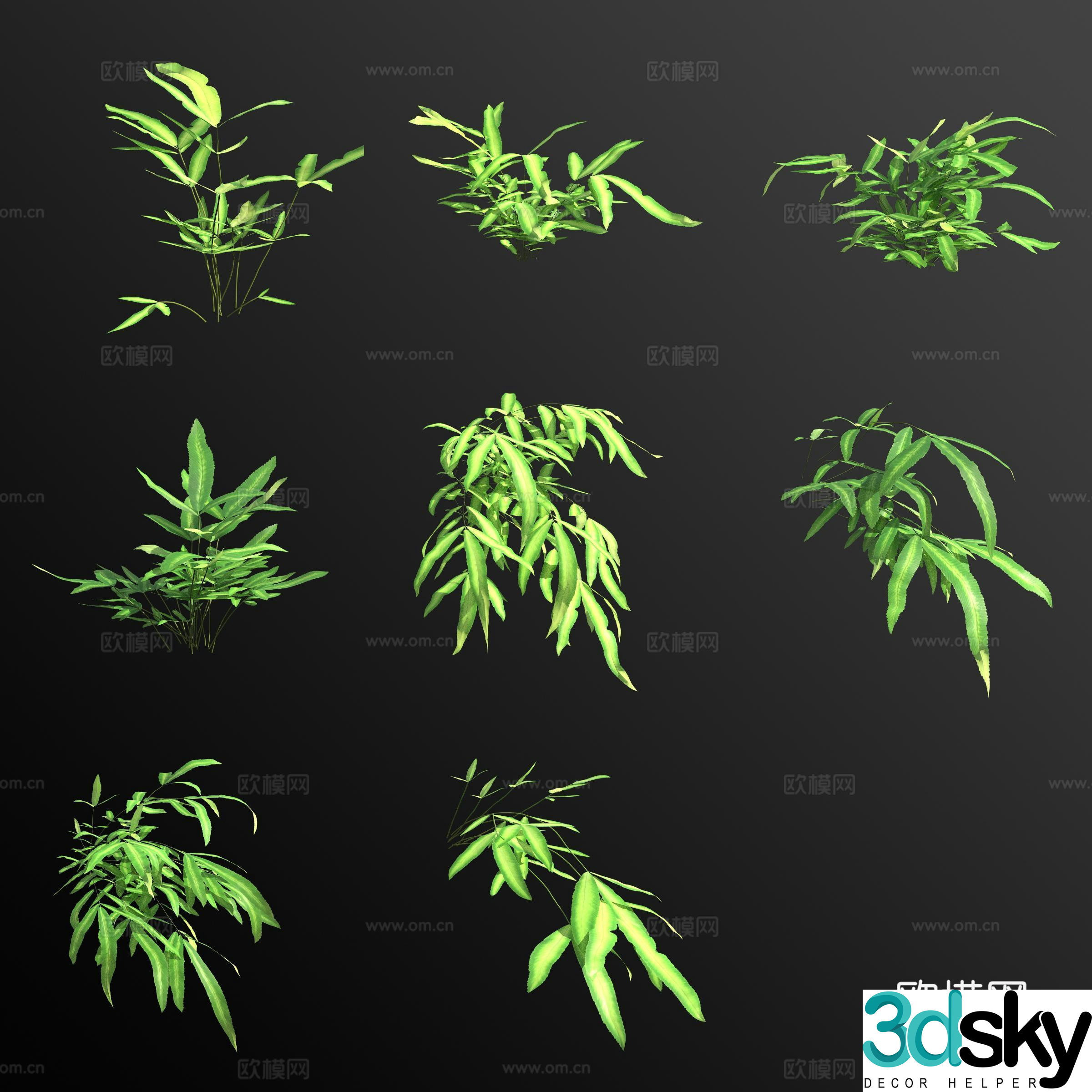 3D model of sword-leaf fern flower and grass