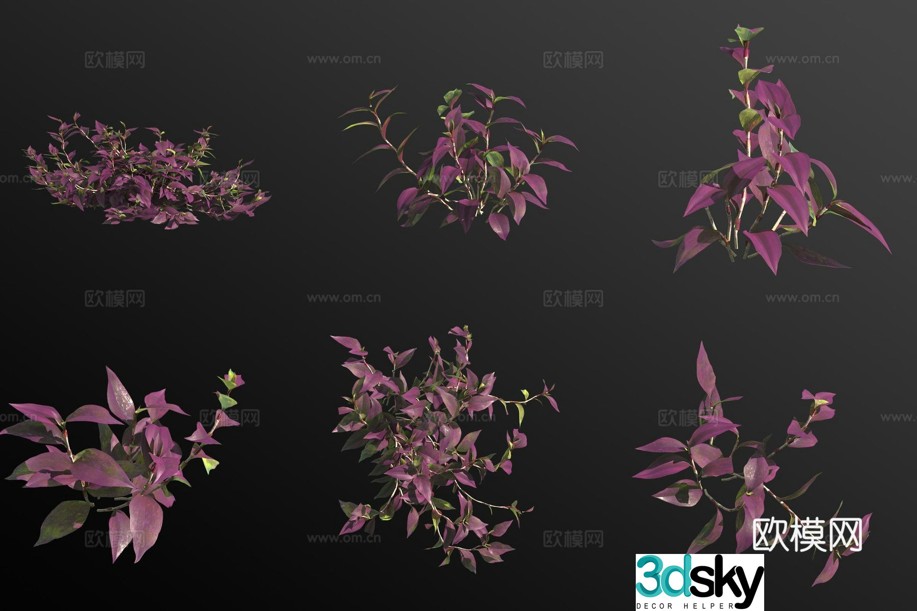 Purple bamboo plum blossom green plants 3D model