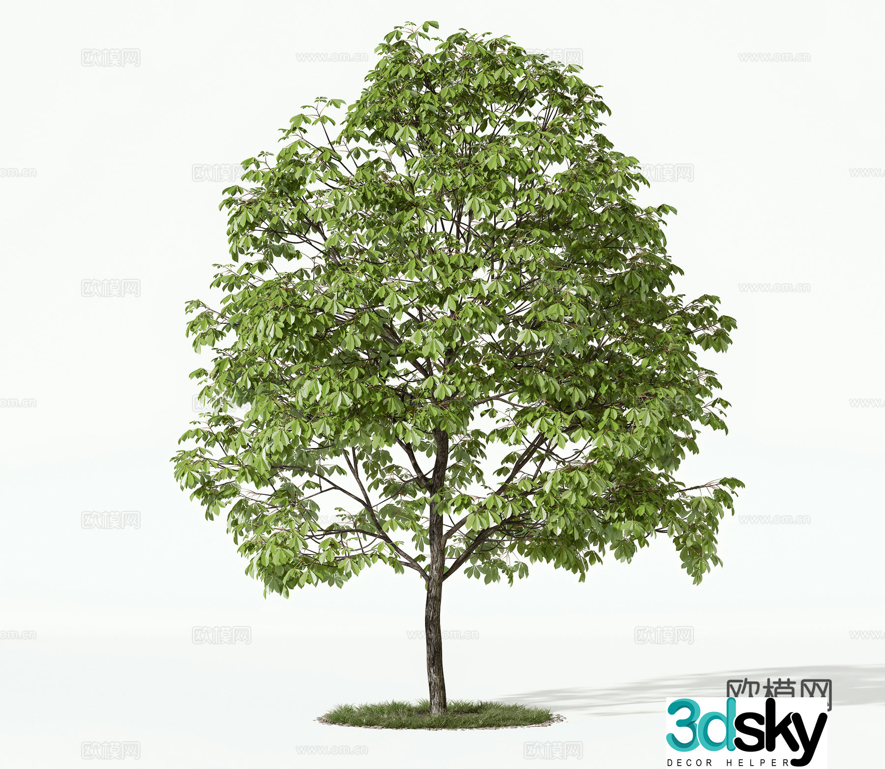 modern trees 3d model