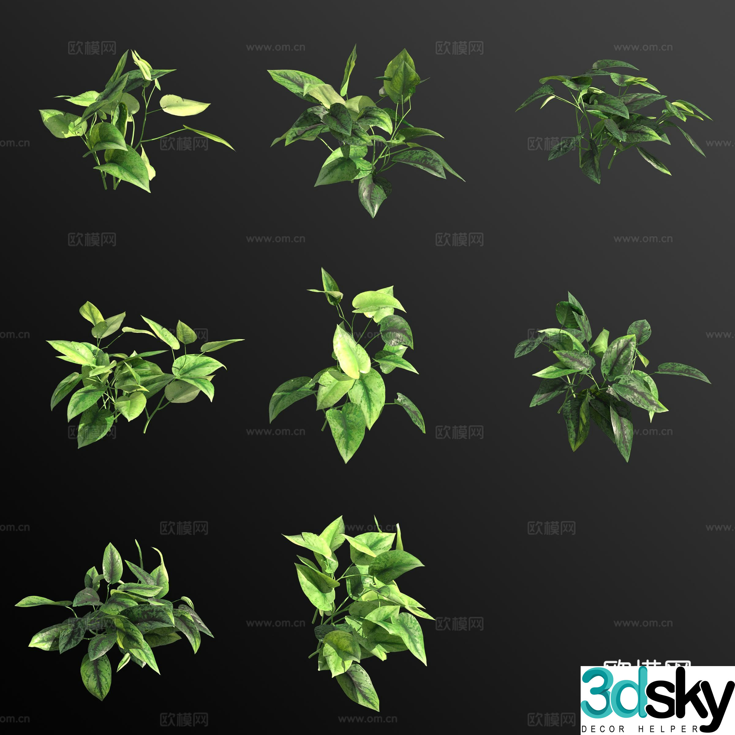 3D model of silver kudzu green plant
