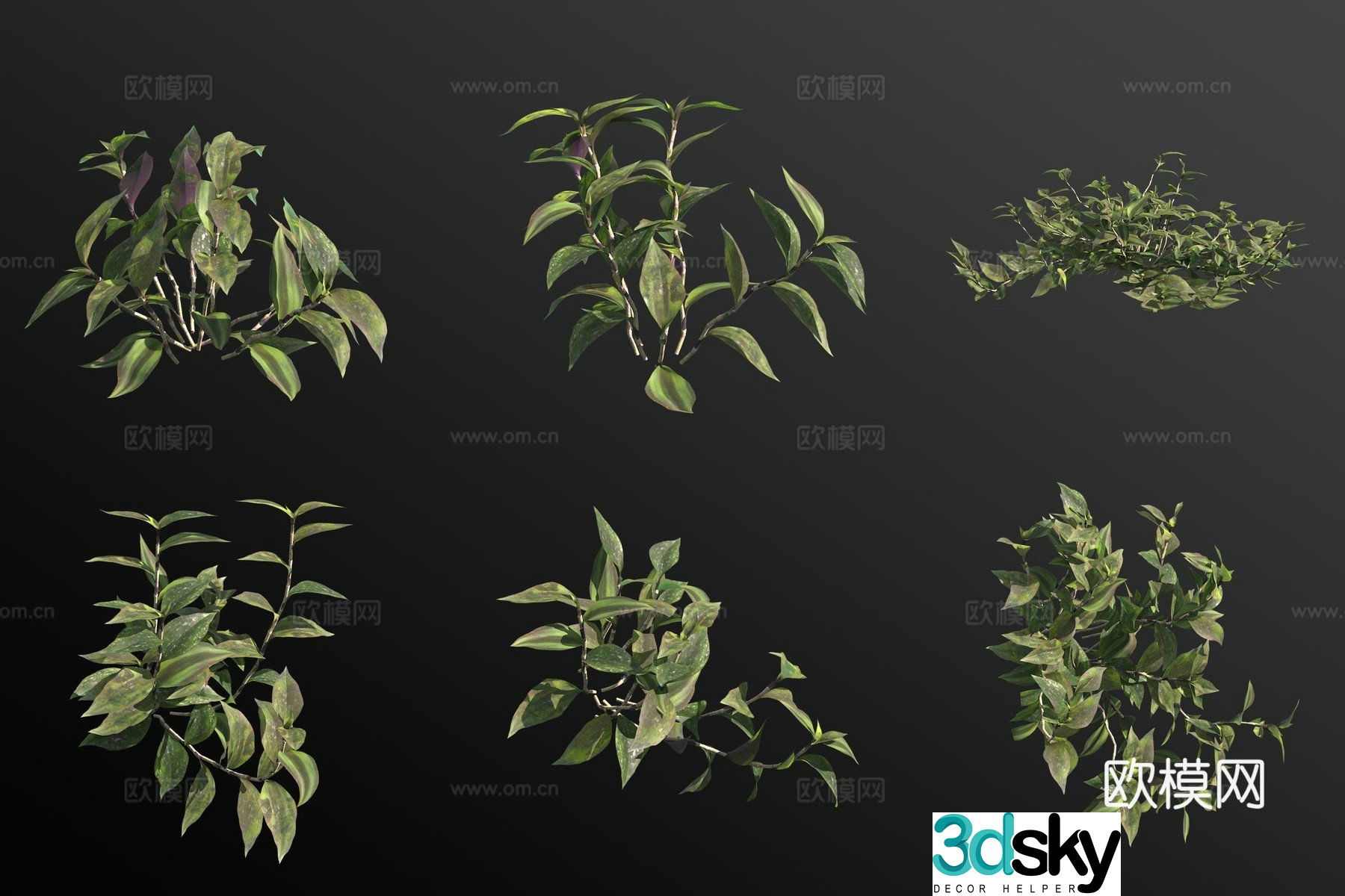 Hanging bamboo plum green plant shrub 3d model