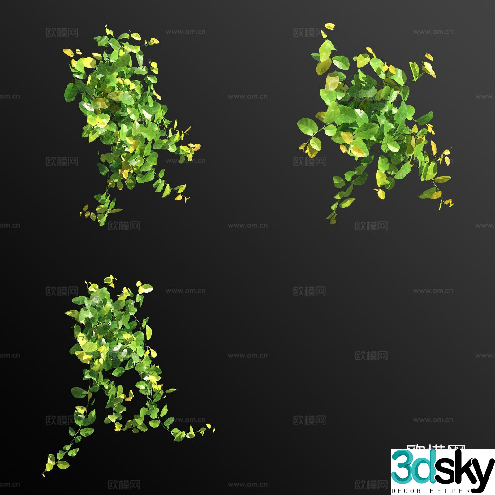 Emerald ficus flower grass 3d model