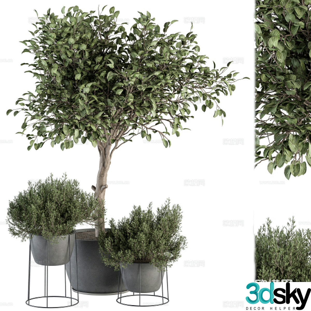 Plant pot 3d model