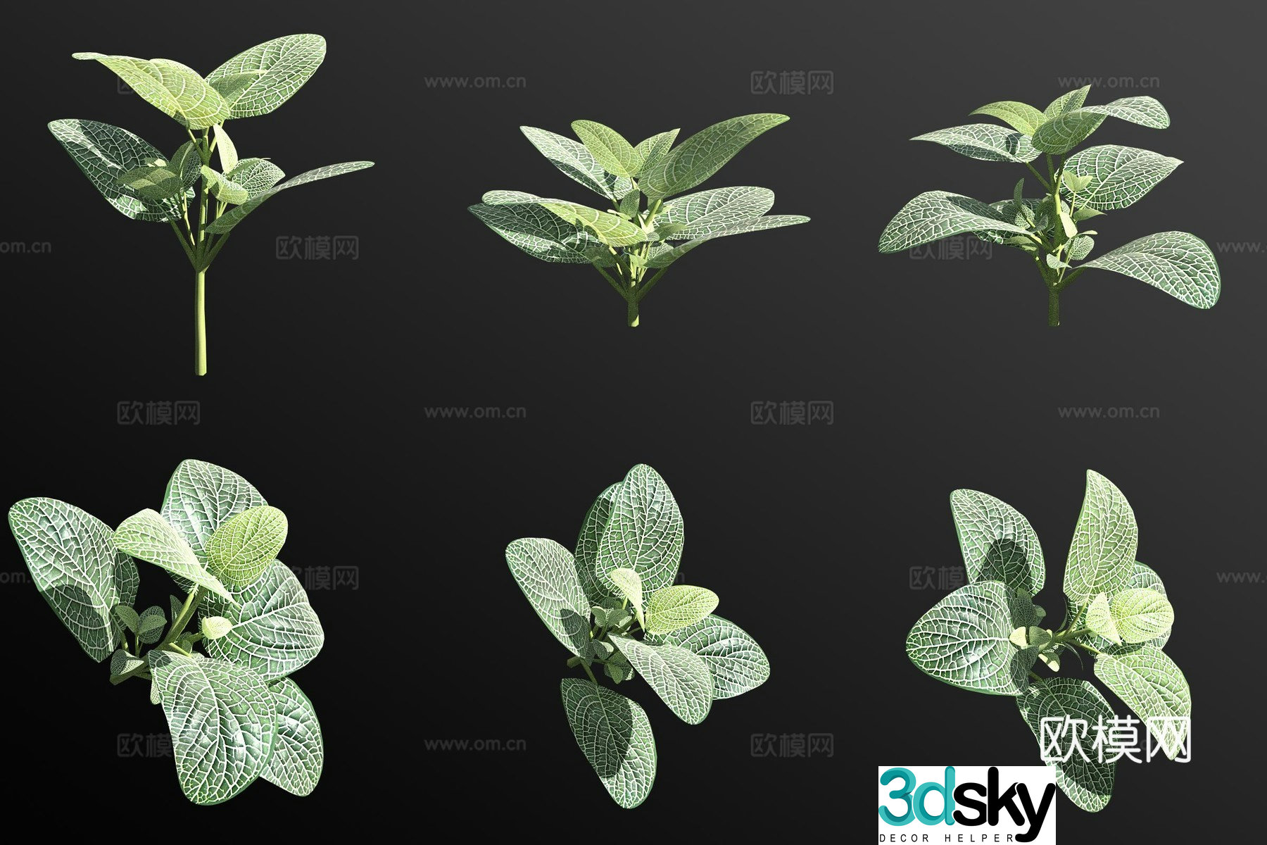 White mesh grass and green plants flowers and grass 3d model