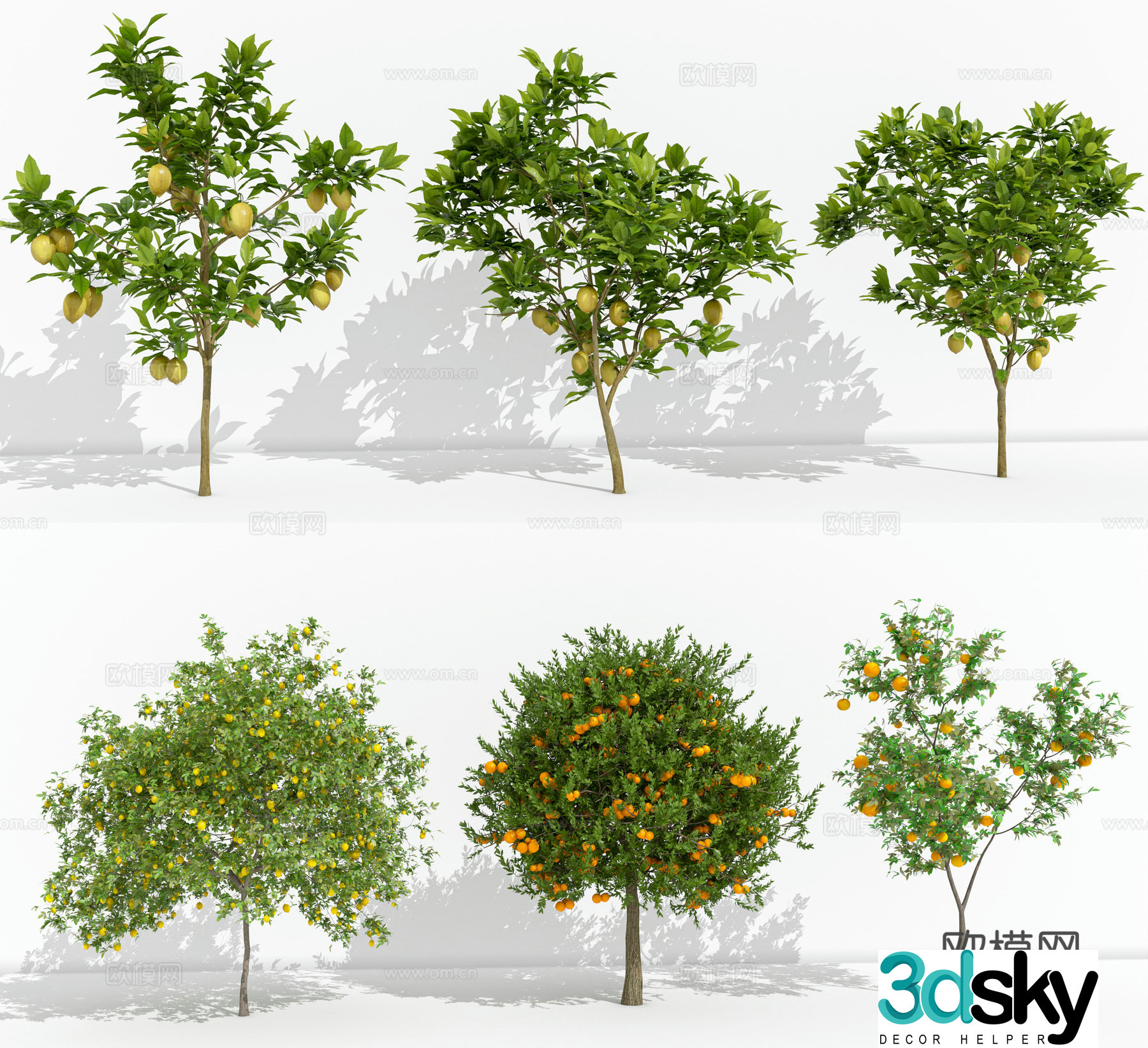 Orange tree lemon tree landscape tree orange tree indoor green plant 3d model