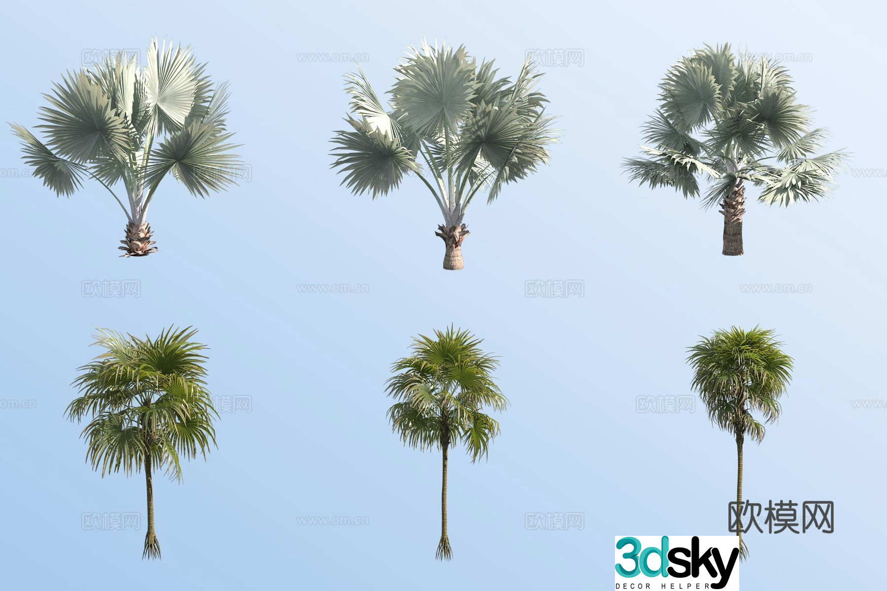 Overlord Brown Fork Thorn Palm Tropical Tree 3D Model