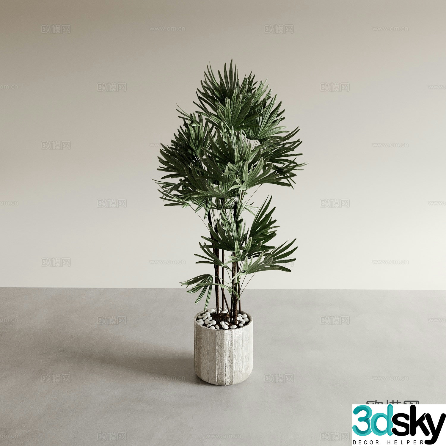 plant green plant potted 3d model