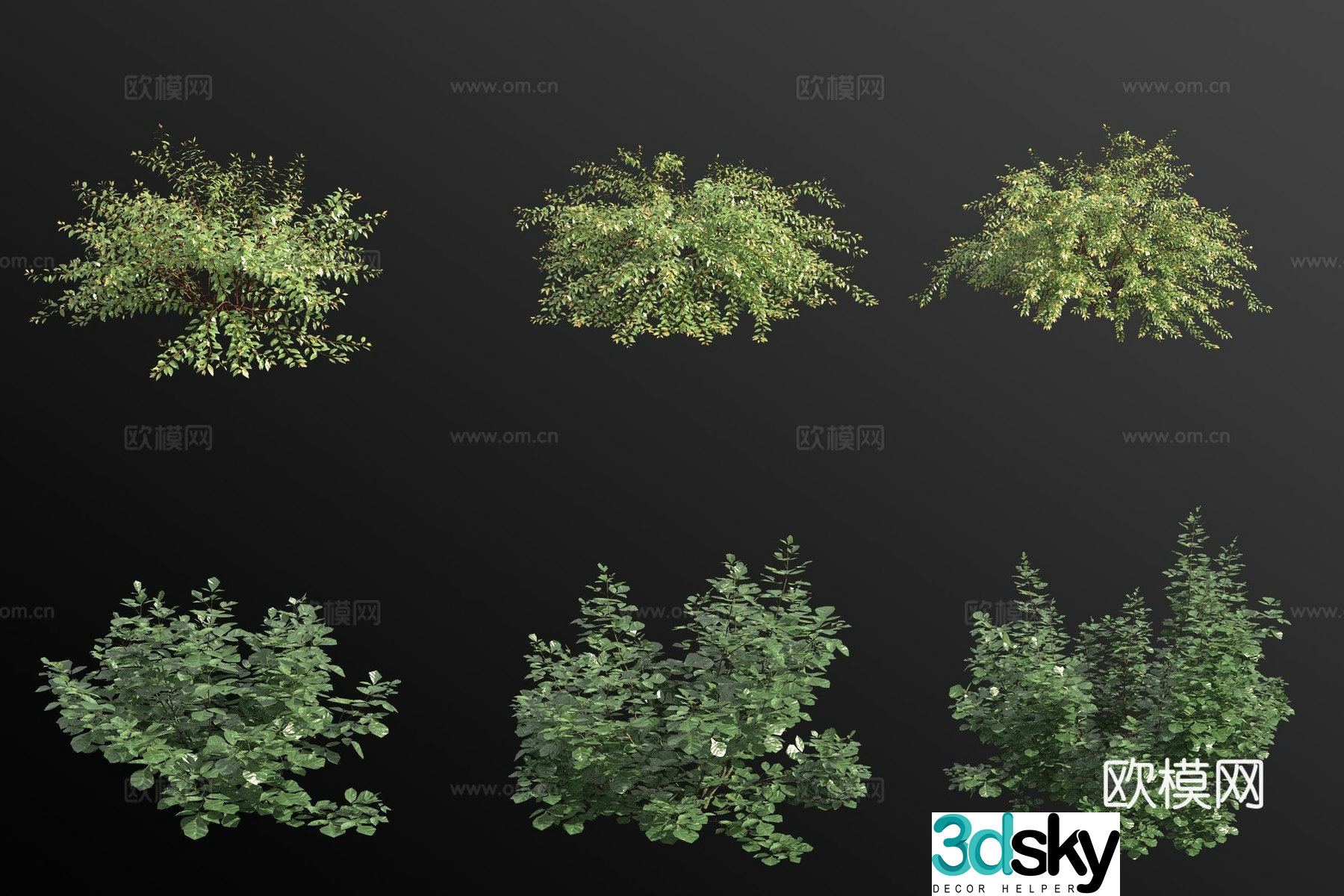 Aromatic sumac shrub 3d model