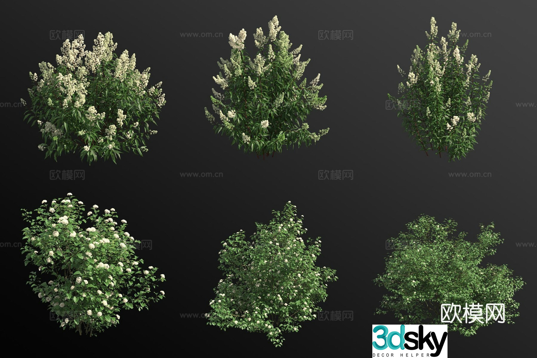White-flowered spirea viburnum shrub 3d model