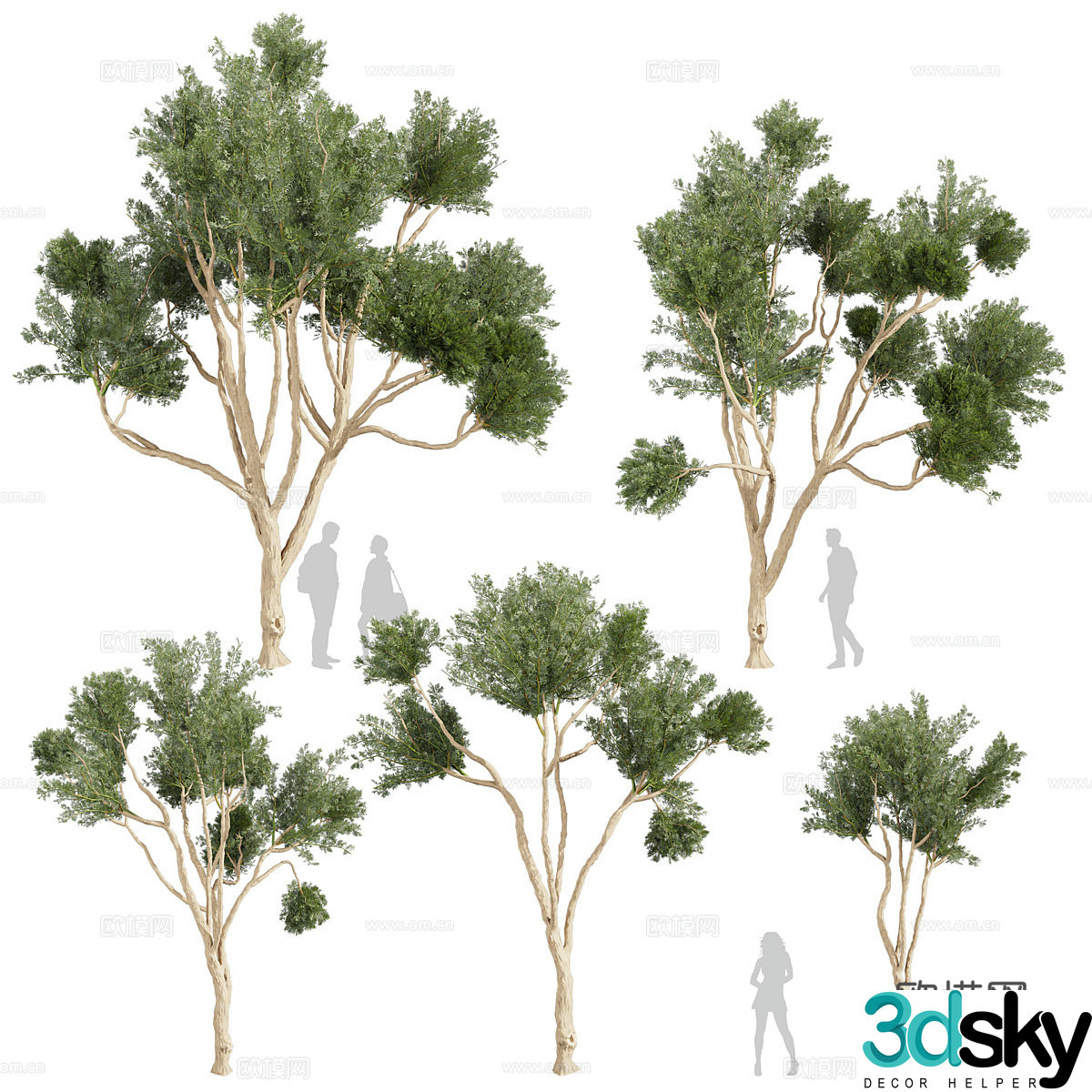 Big tree landscape tree 3d model