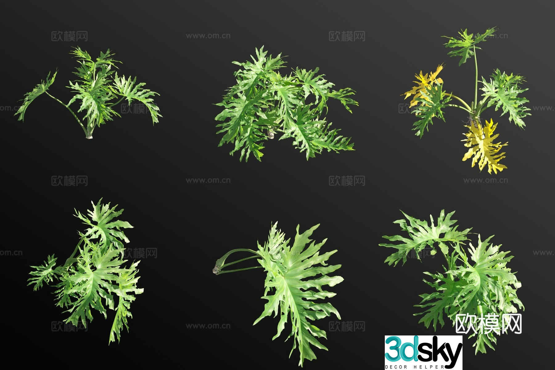Spring feather flowers and grass 3d model