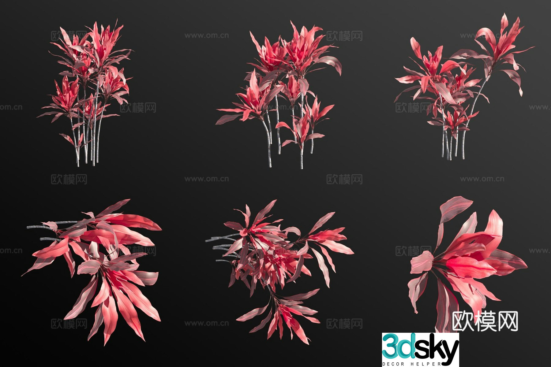 3D model of banana flowers and plants