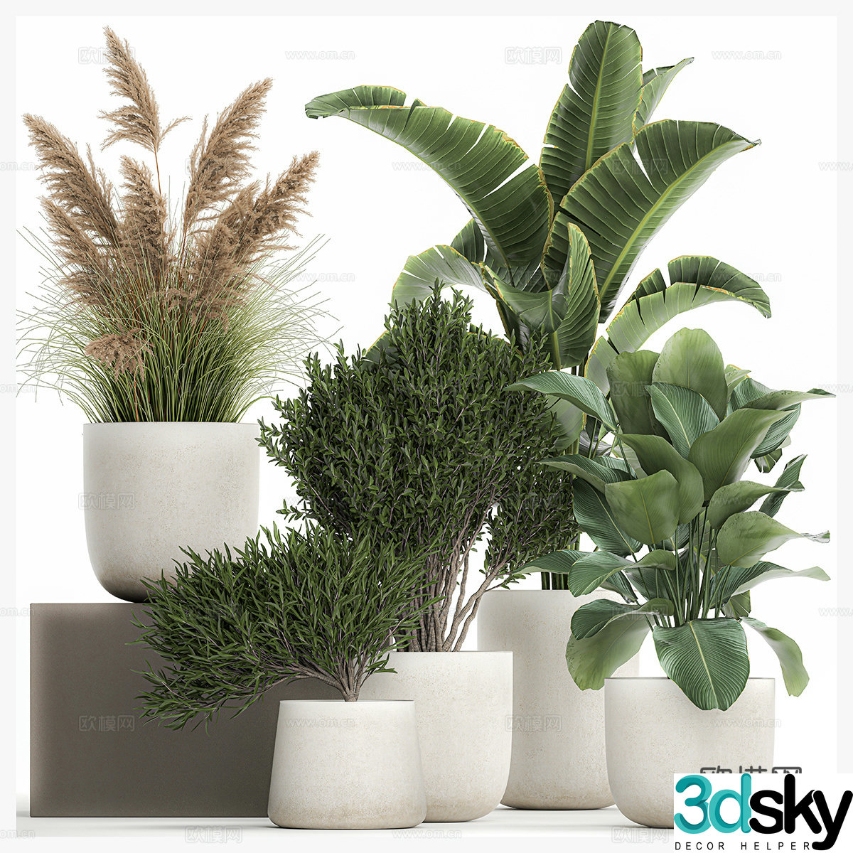 Green plant potted 3d model