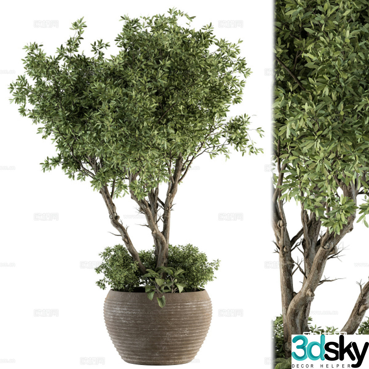 potted plant 3d model