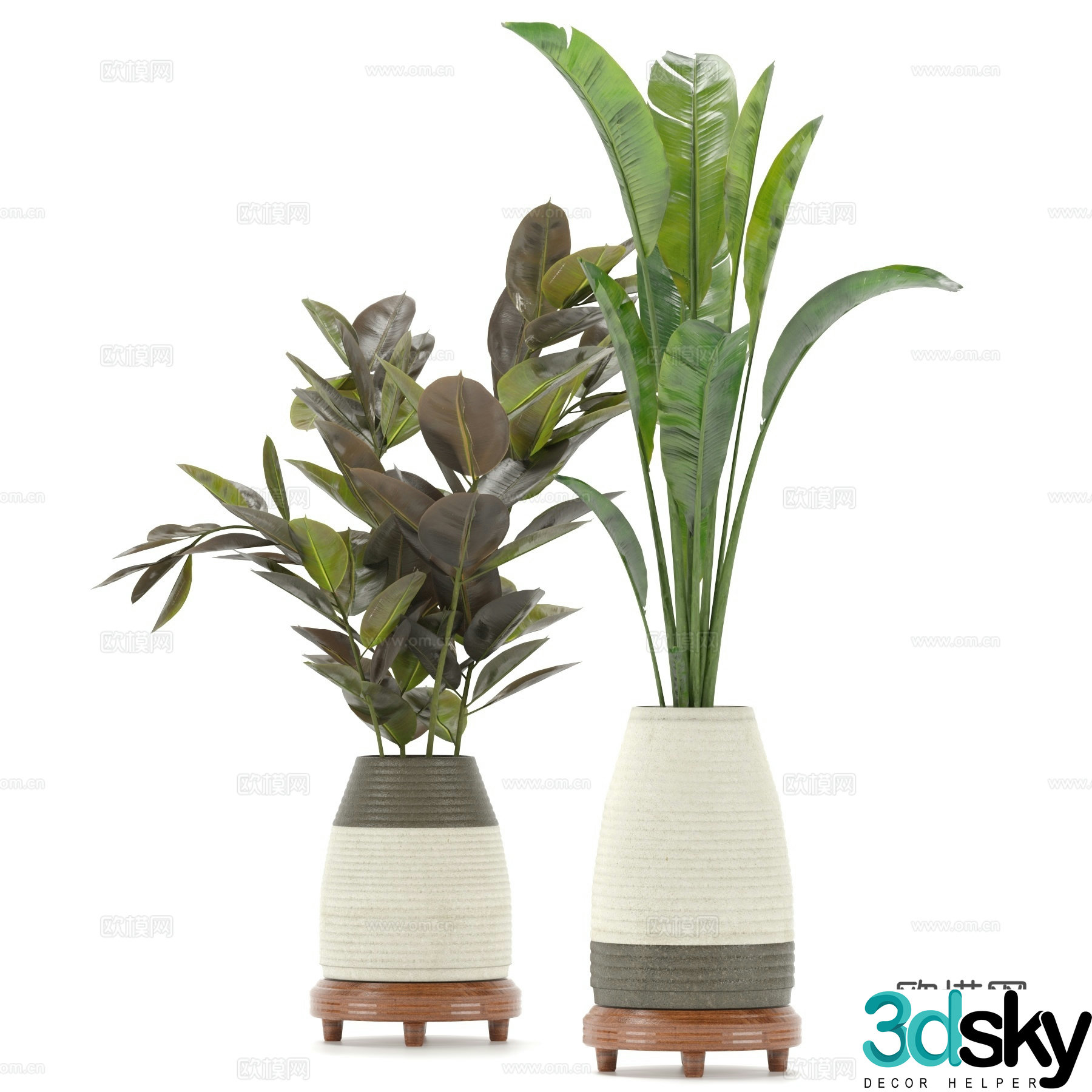 Green plant potted 3D model
