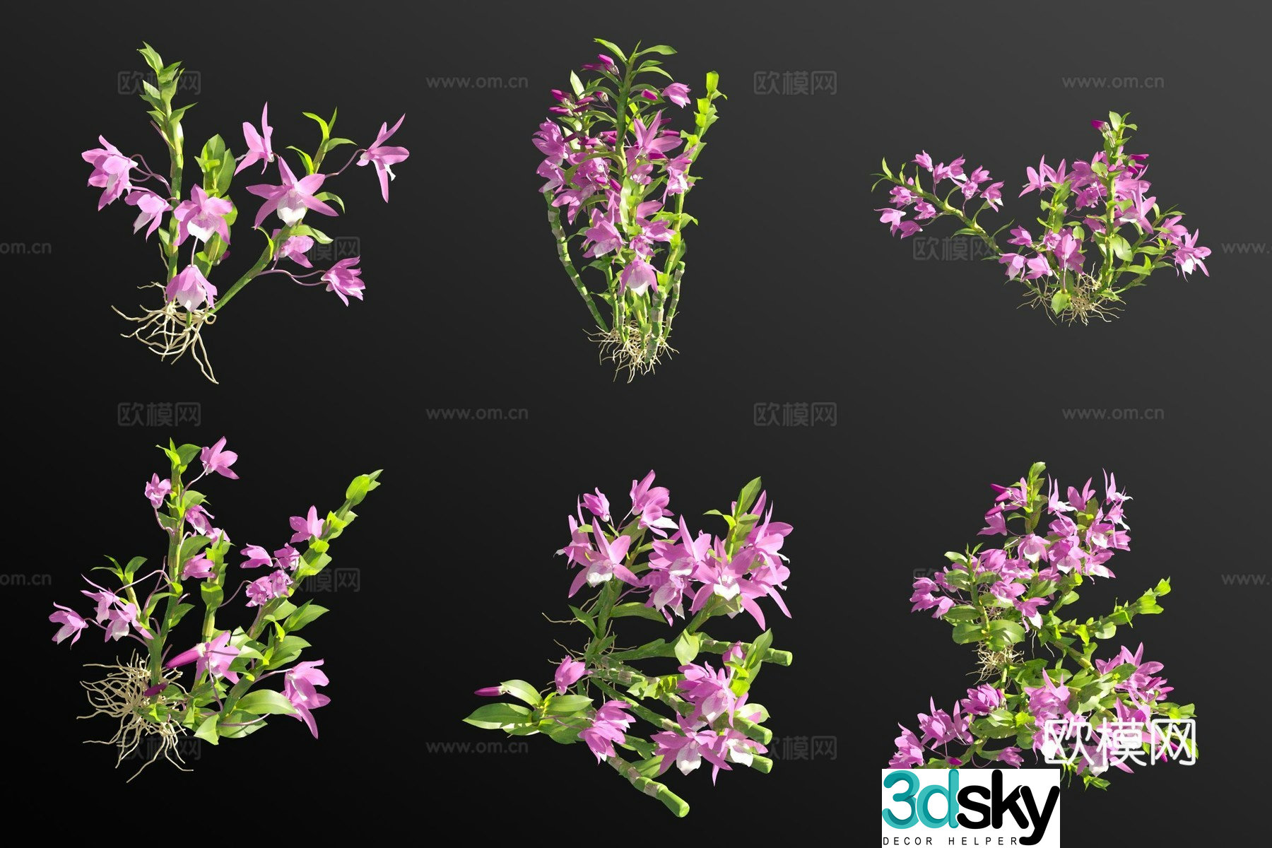 Purple flower orchid grass 3d model