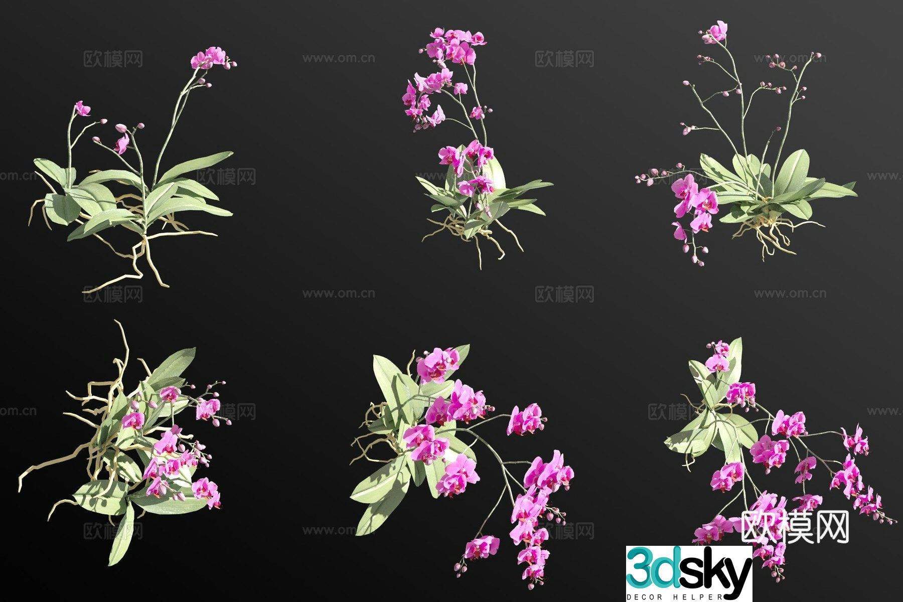 Peach colored butterfly orchid grass 3d model